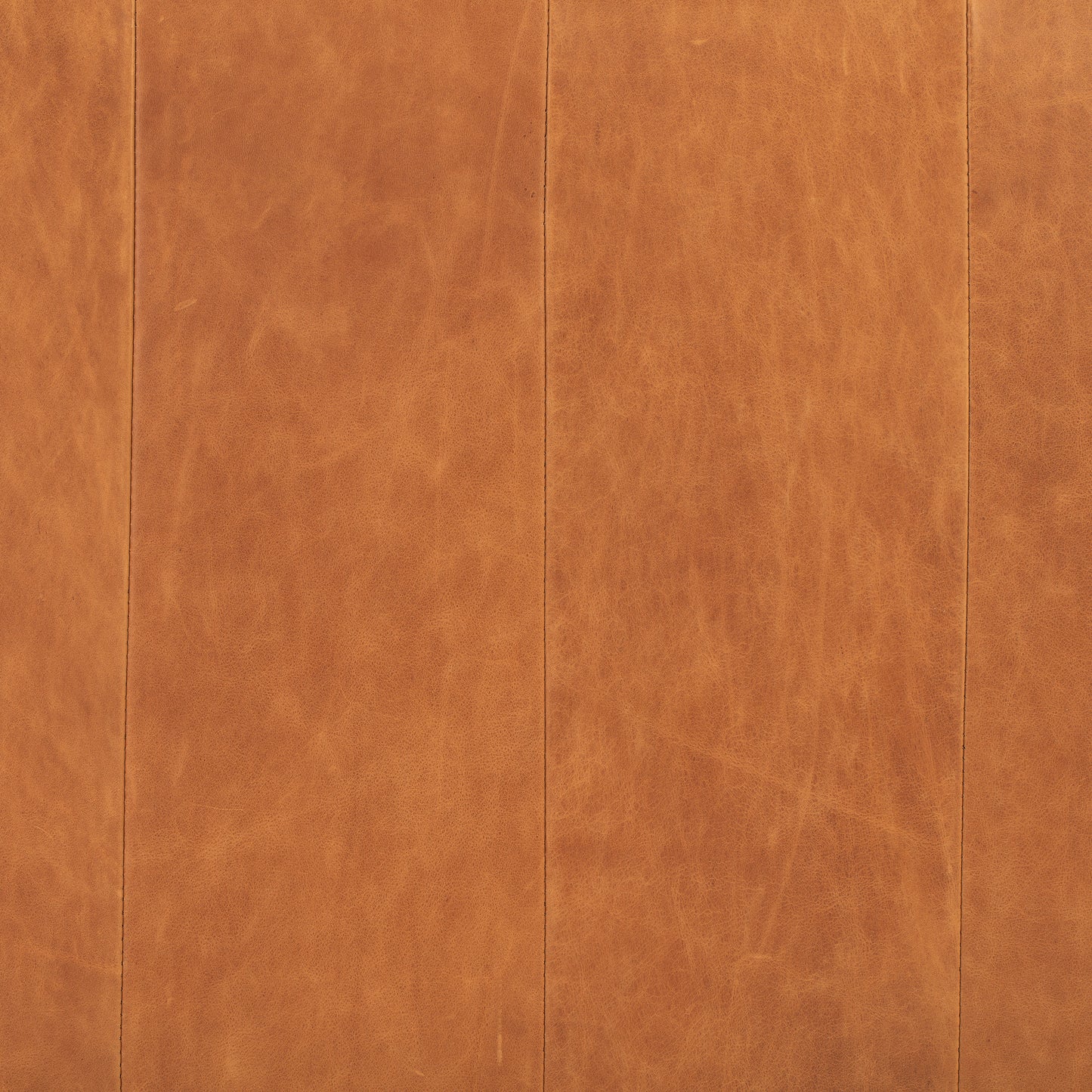 Jasper Leather Daybed | Cognac Tan