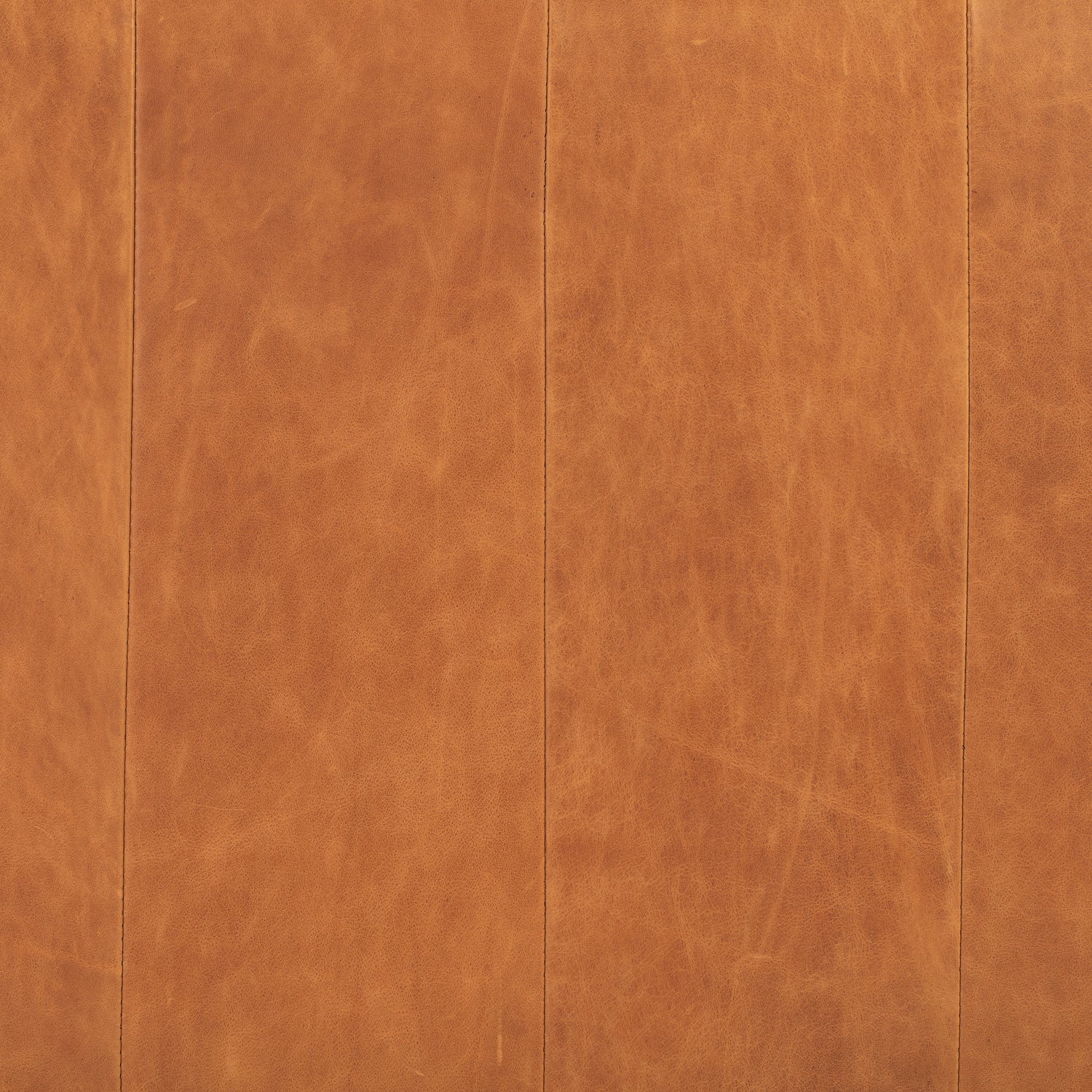 Jasper Leather Daybed | Cognac Tan 