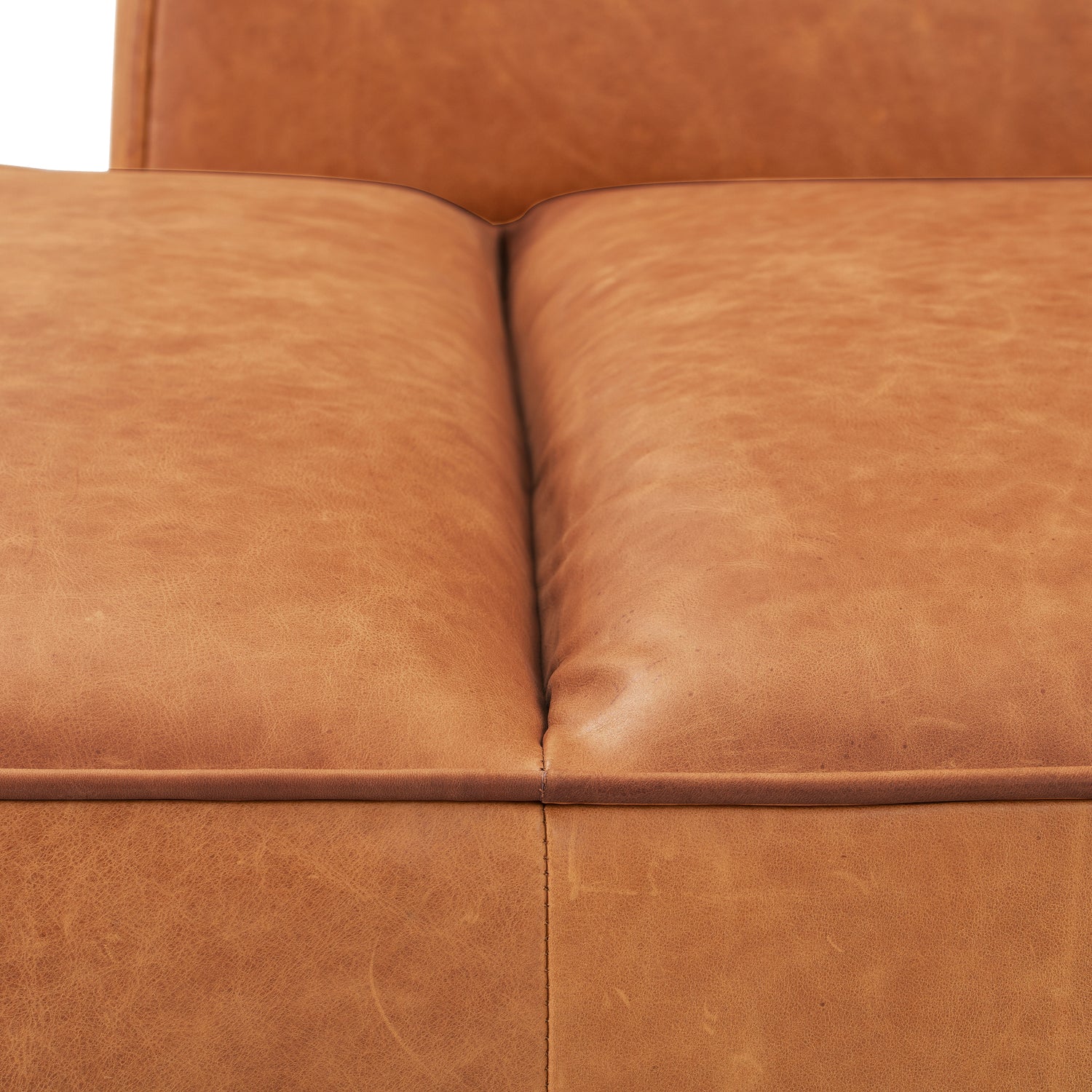 Jasper Leather Daybed | Cognac Tan 