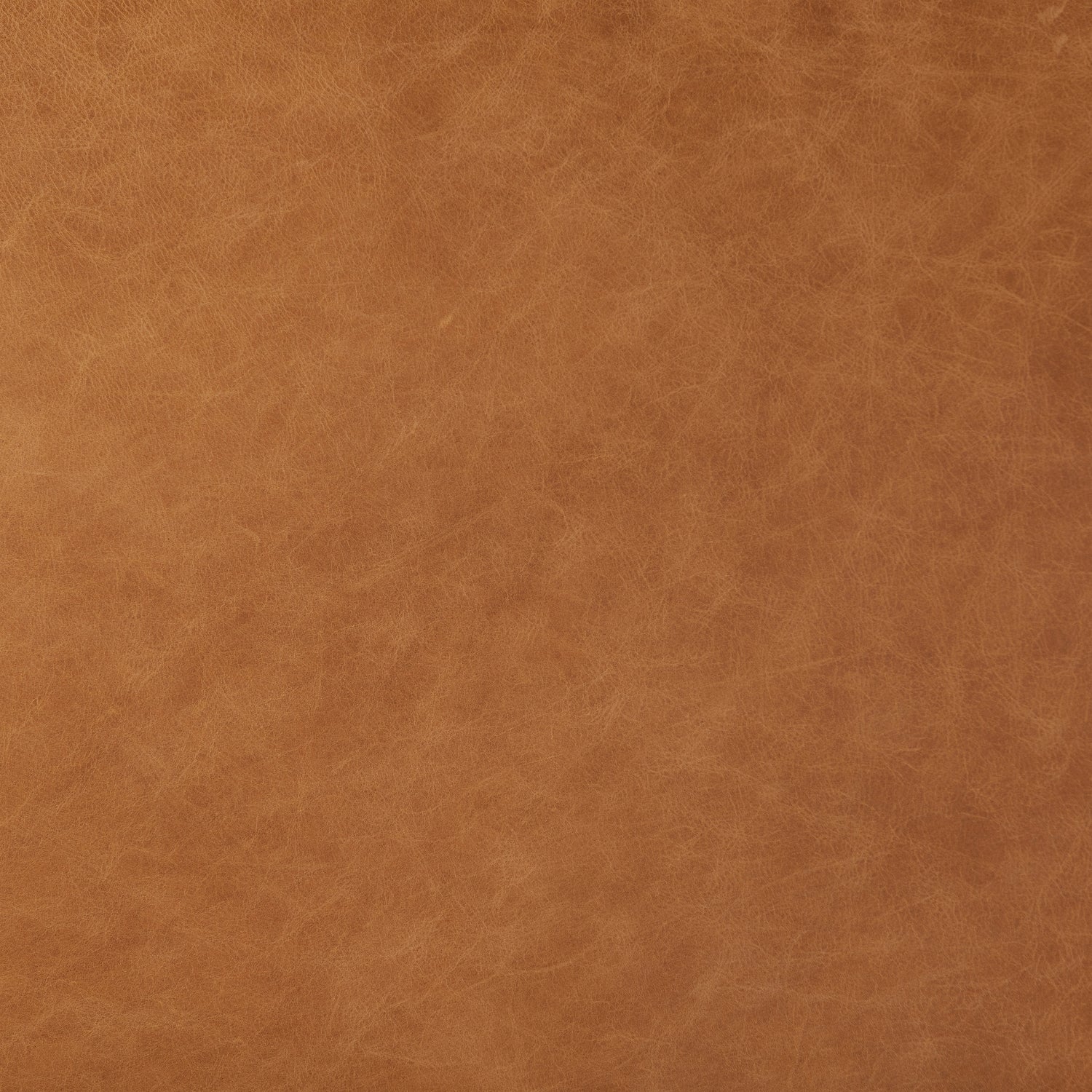 Truro Bed with Leather Cushions | Cognac Tan | King 
