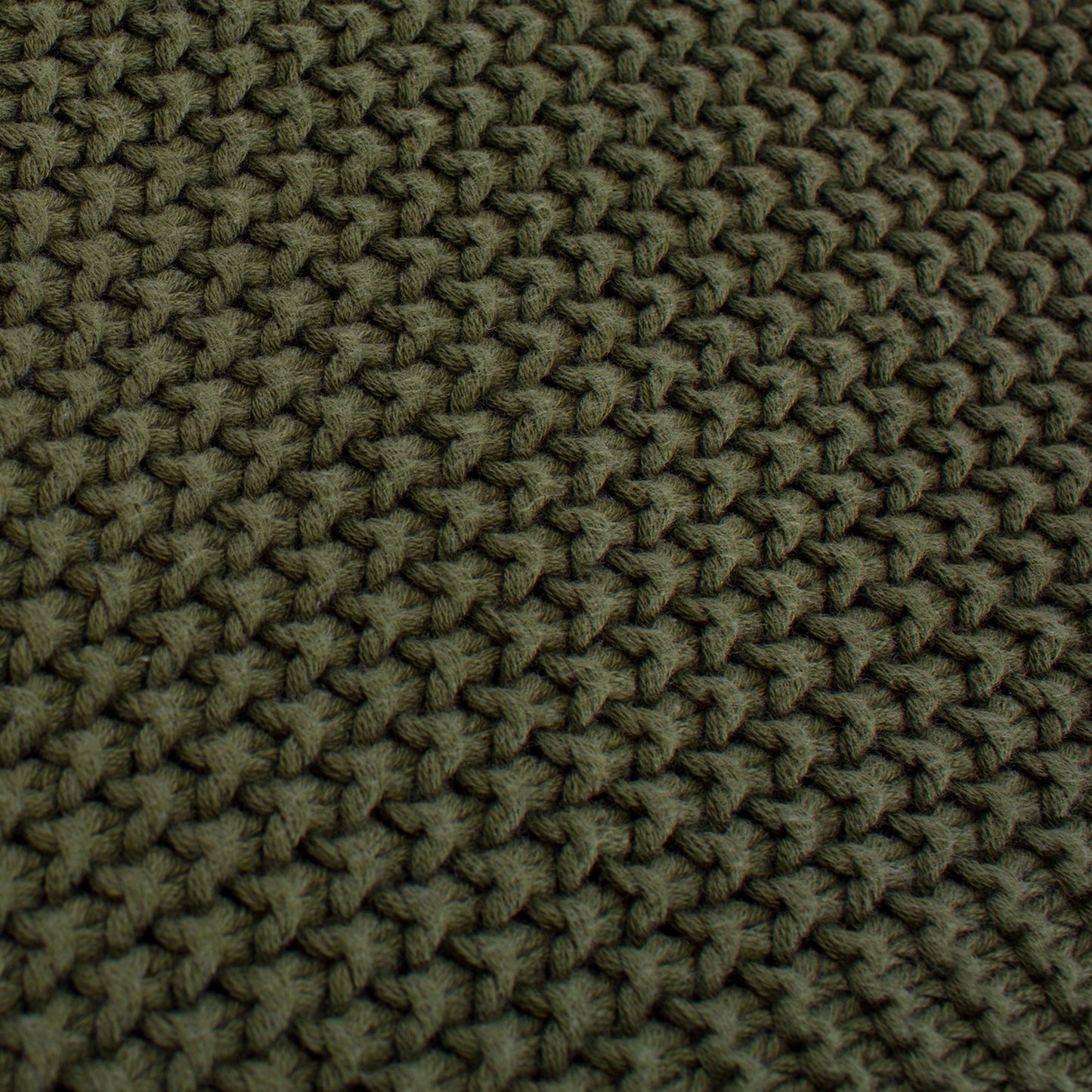 Jozy Throw Blanket | Ivy Green