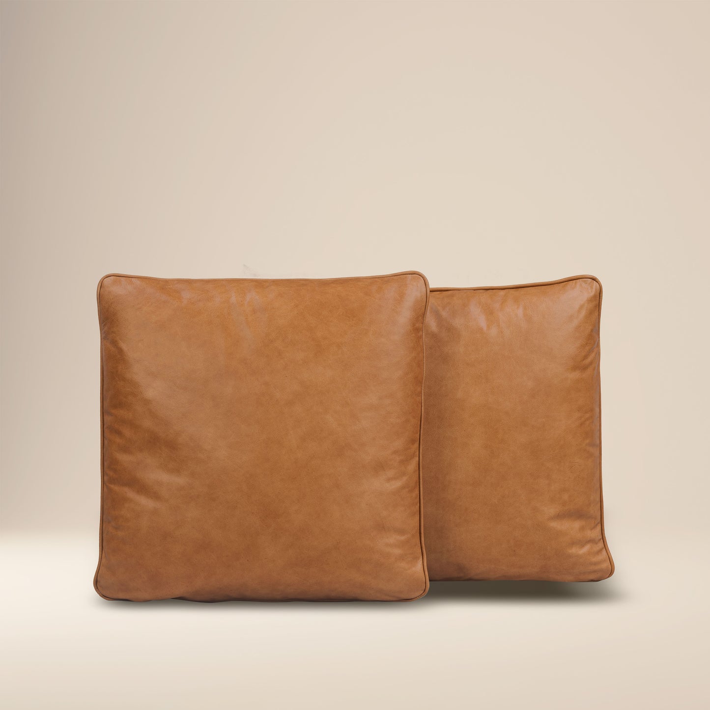 Dobla Throw Pillow | Bourbon Tan/Aspen White | Set of 2