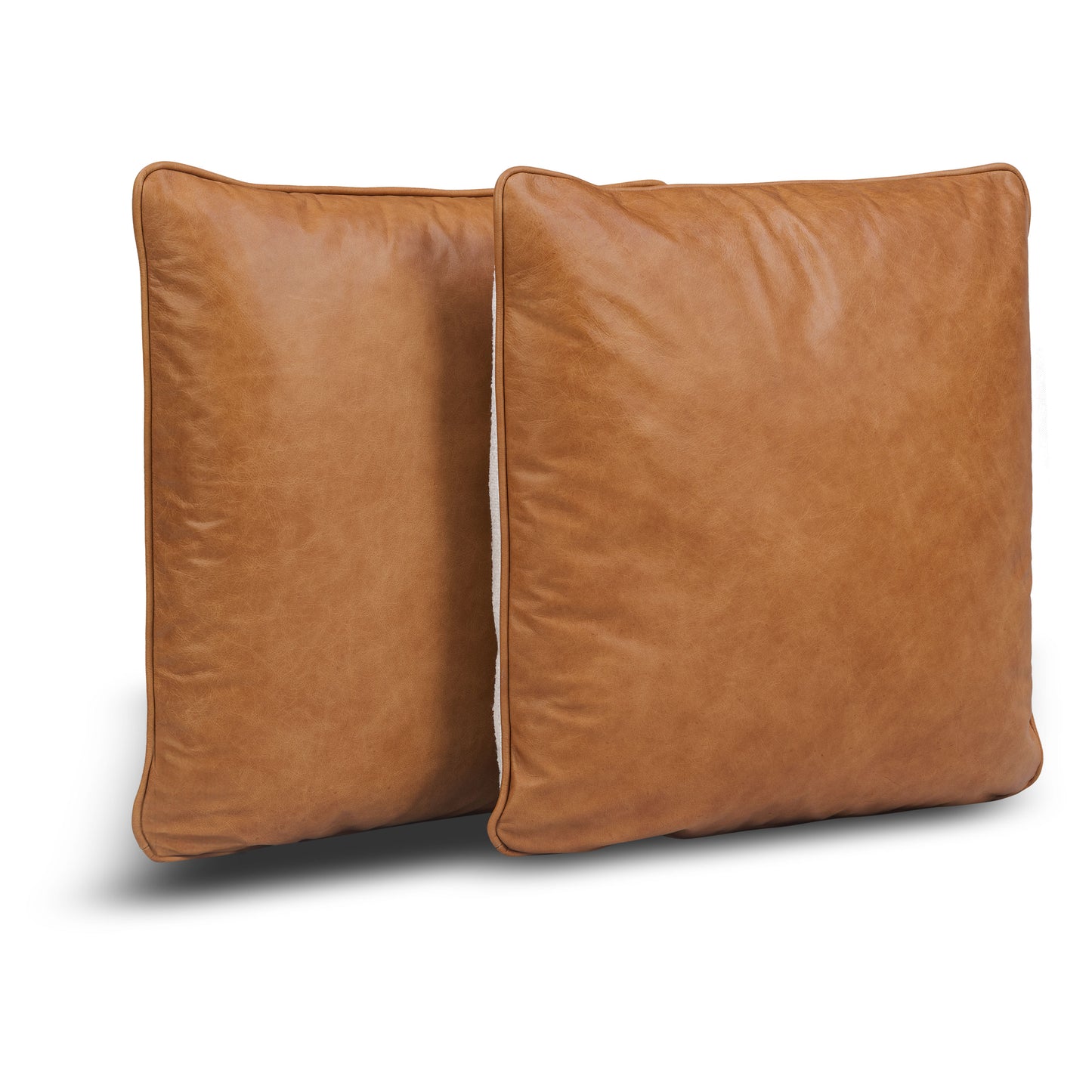 Dobla Throw Pillow | Bourbon Tan/Aspen White | Set of 2