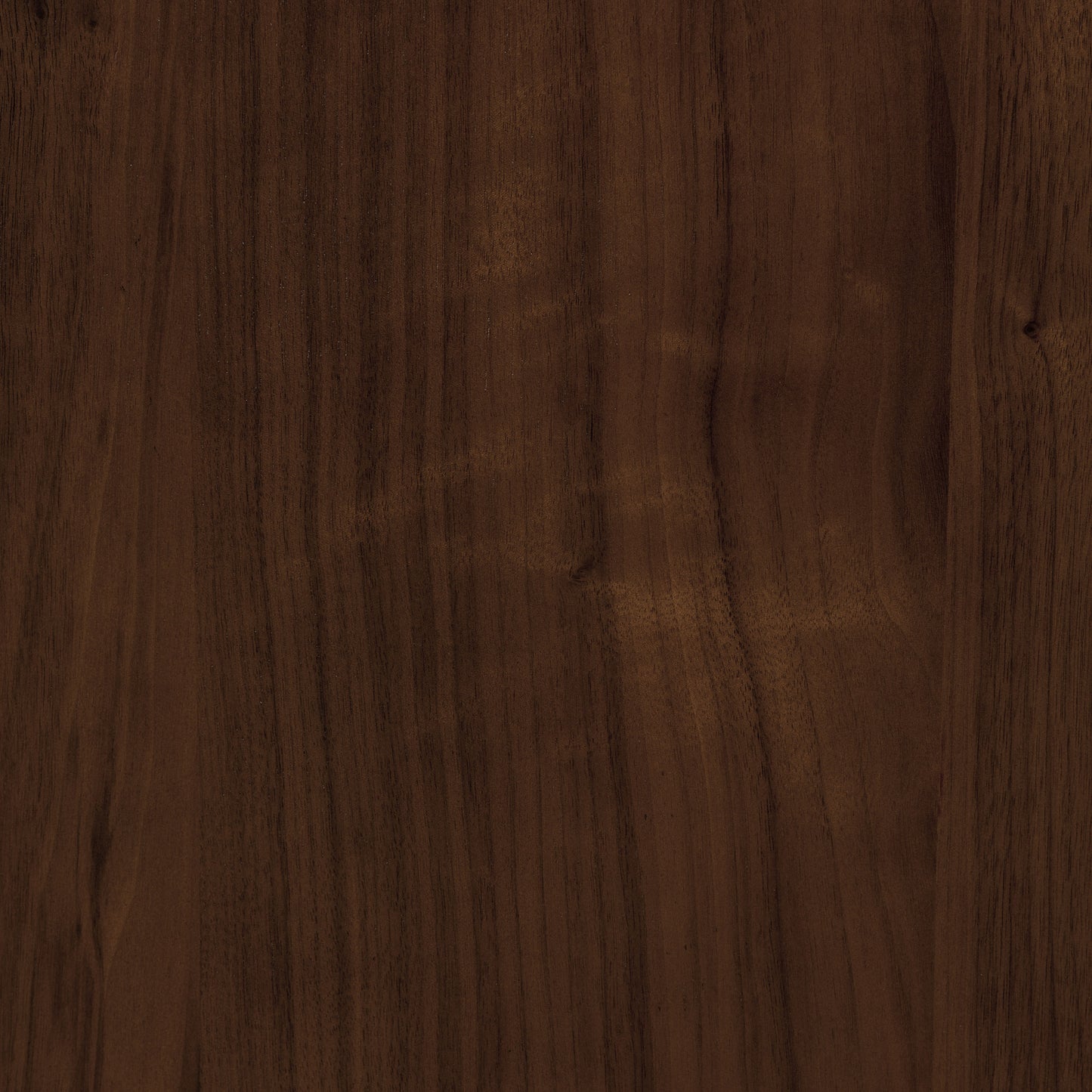 Arlo Leather Dining Chair | Walnut/Black