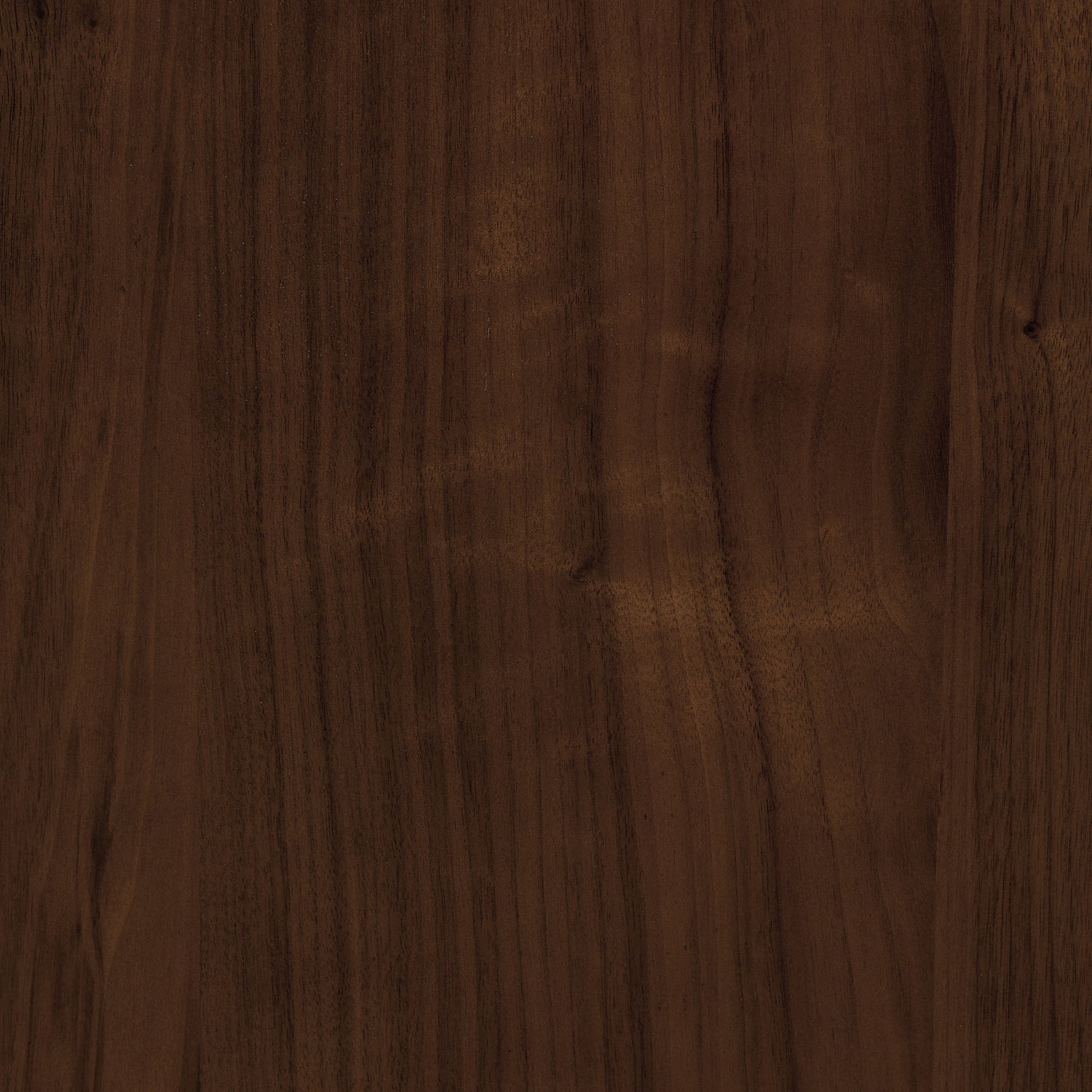 Arlo Leather Dining Chair | Walnut/Black 