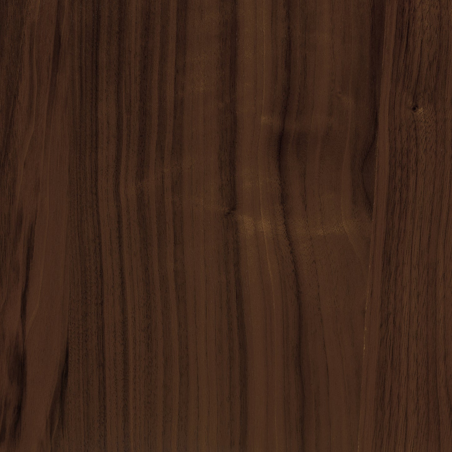 Arlo Leather Dining Chair | Walnut/Brown