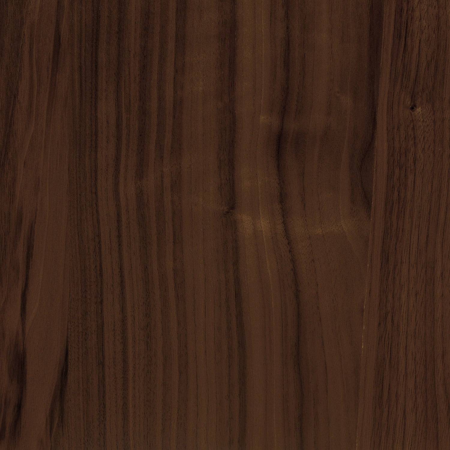 Arlo Leather Dining Chair | Walnut/Brown 