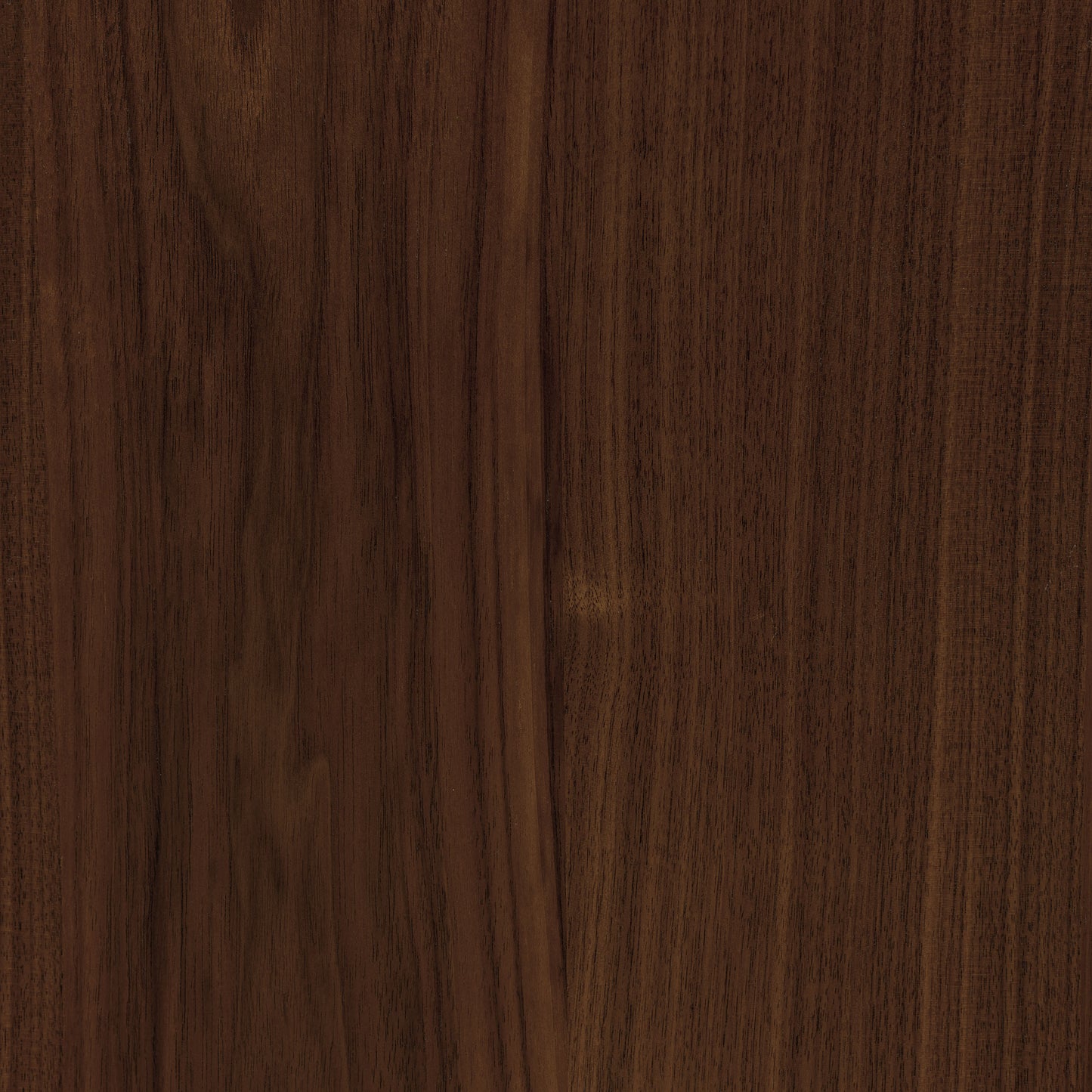 Arlo Leather Dining Chair | Walnut/Tan
