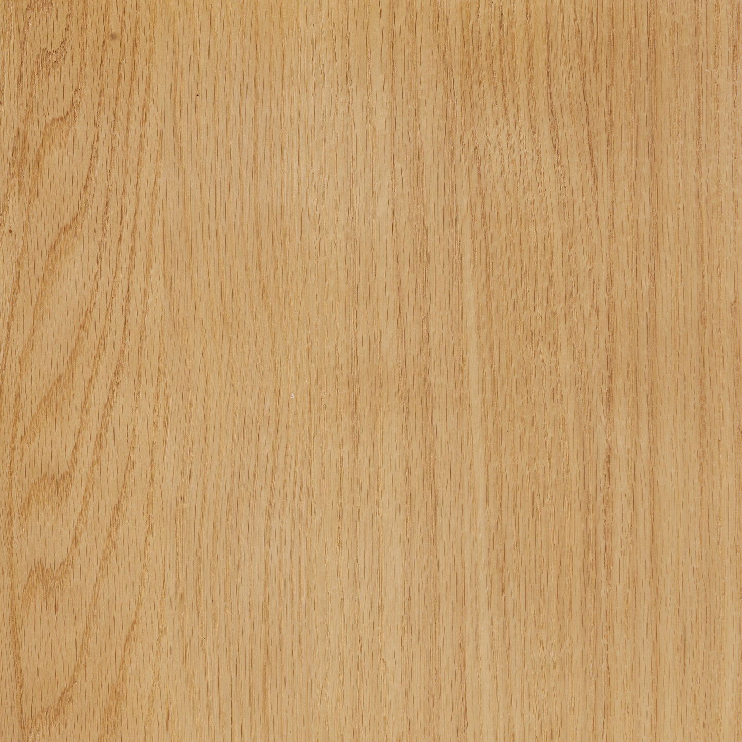 Enzo Dining Chair | Oak