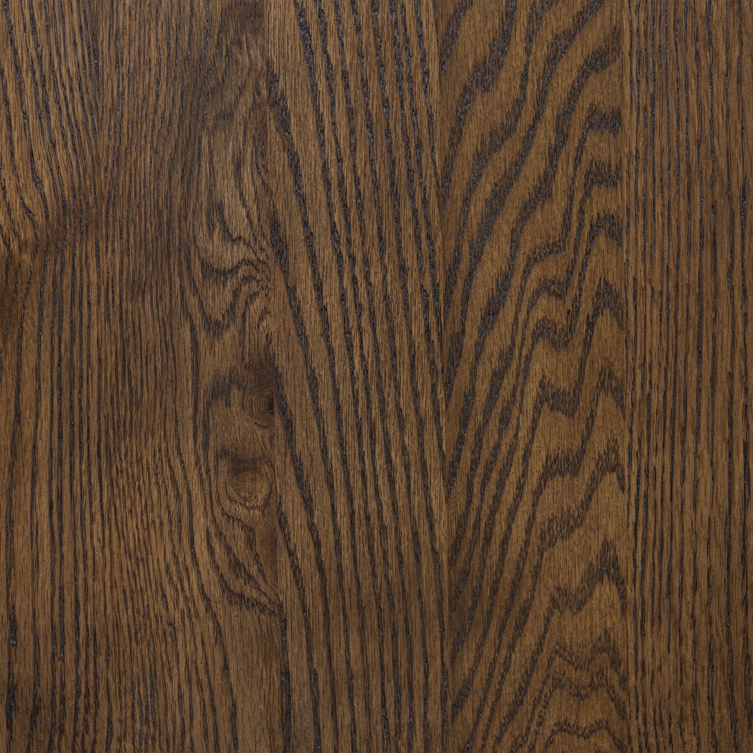 Enzo Dining Chair | Tundra Brown 