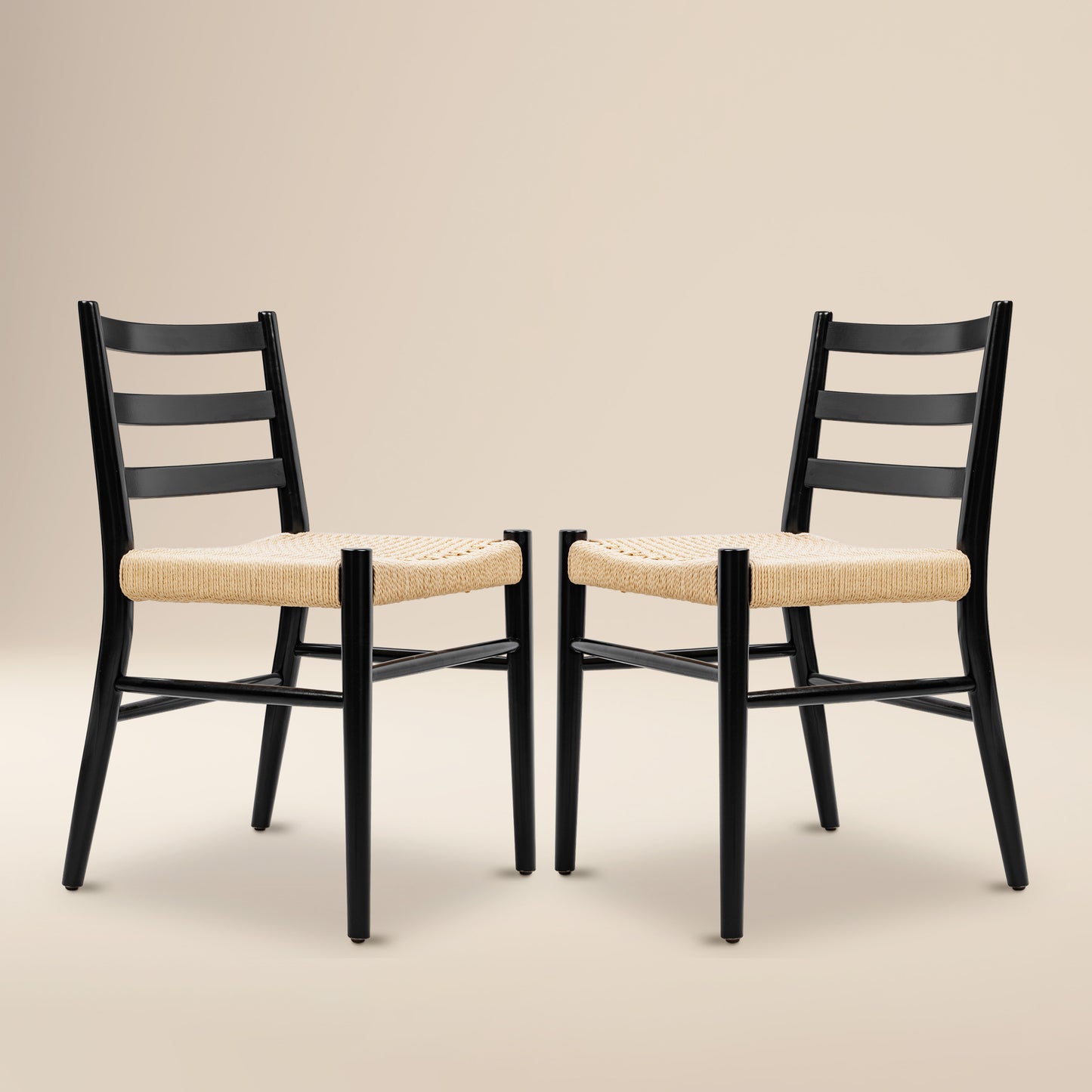 Ray Dining Chair 2.0 | Black