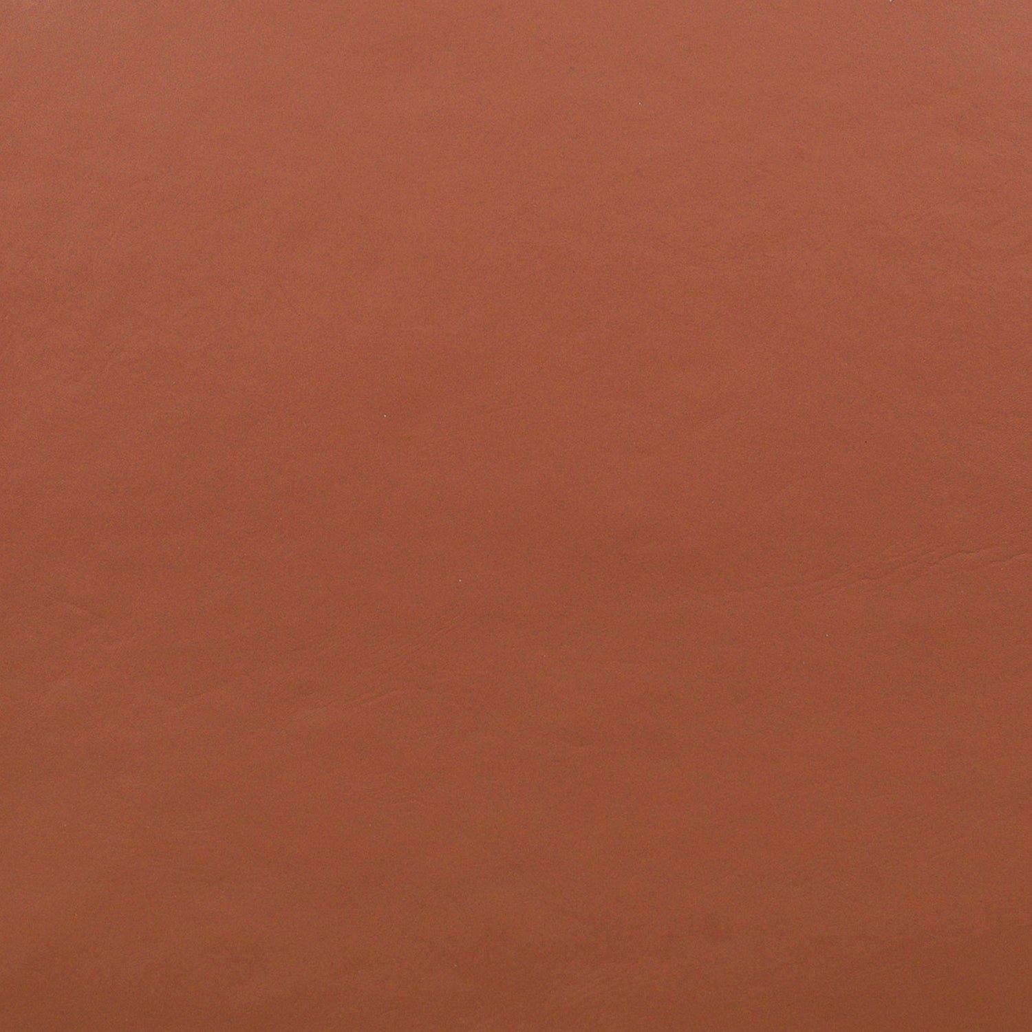 Riavolo Teak & Leather Dining Chair | Fauve Tan 