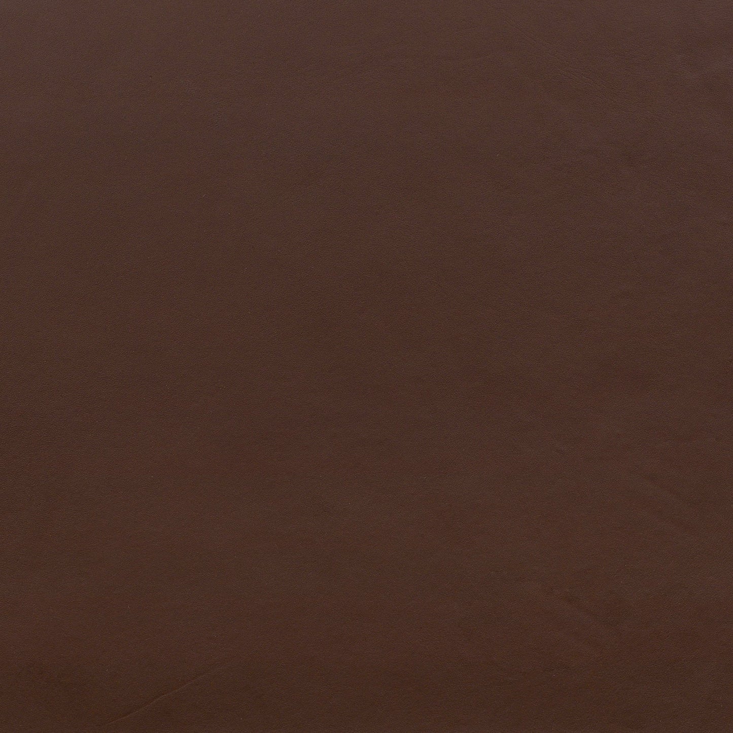 Riavolo Teak & Leather Dining Chair | Molten Brown