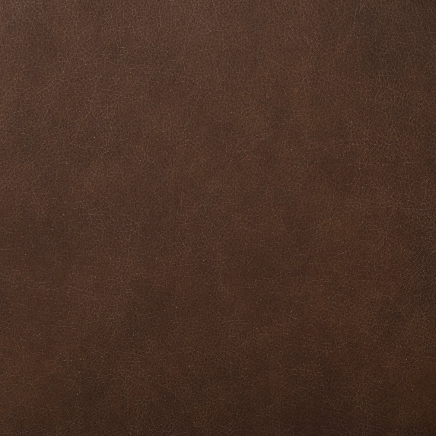 Oliva Leather Dining Chair | Brown/Walnut