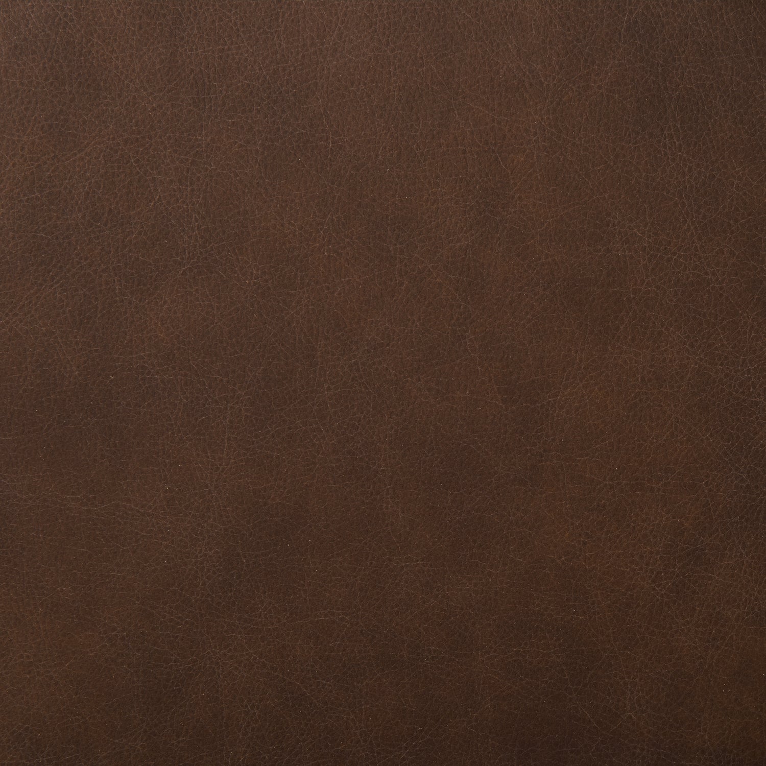 Oliva Leather Dining Chair | Brown/Walnut 