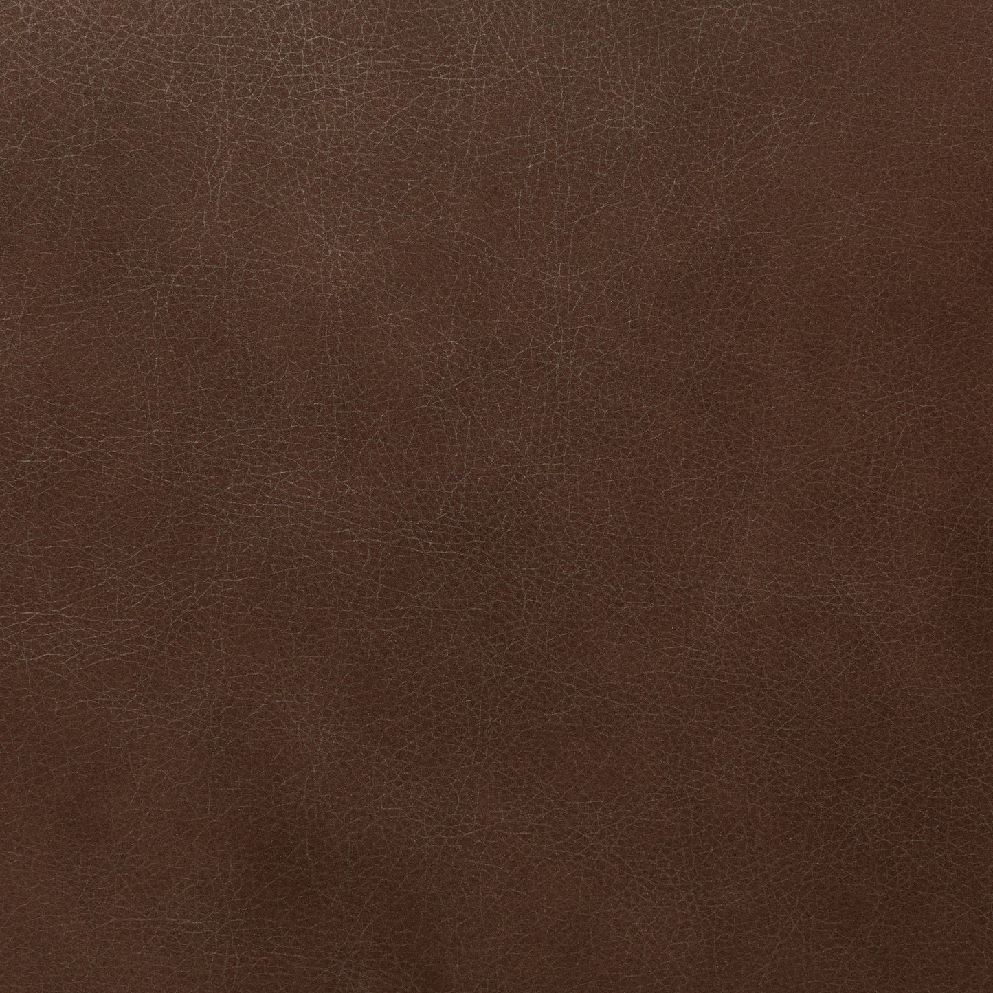 Oliva Leather Dining Chair | Brown/Walnut