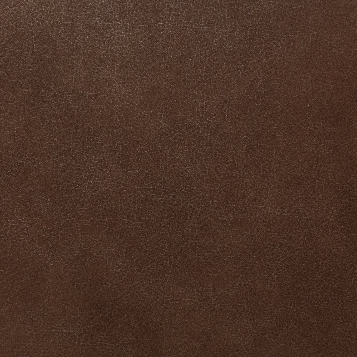 Oliva Leather Dining Chair | Brown/Walnut 