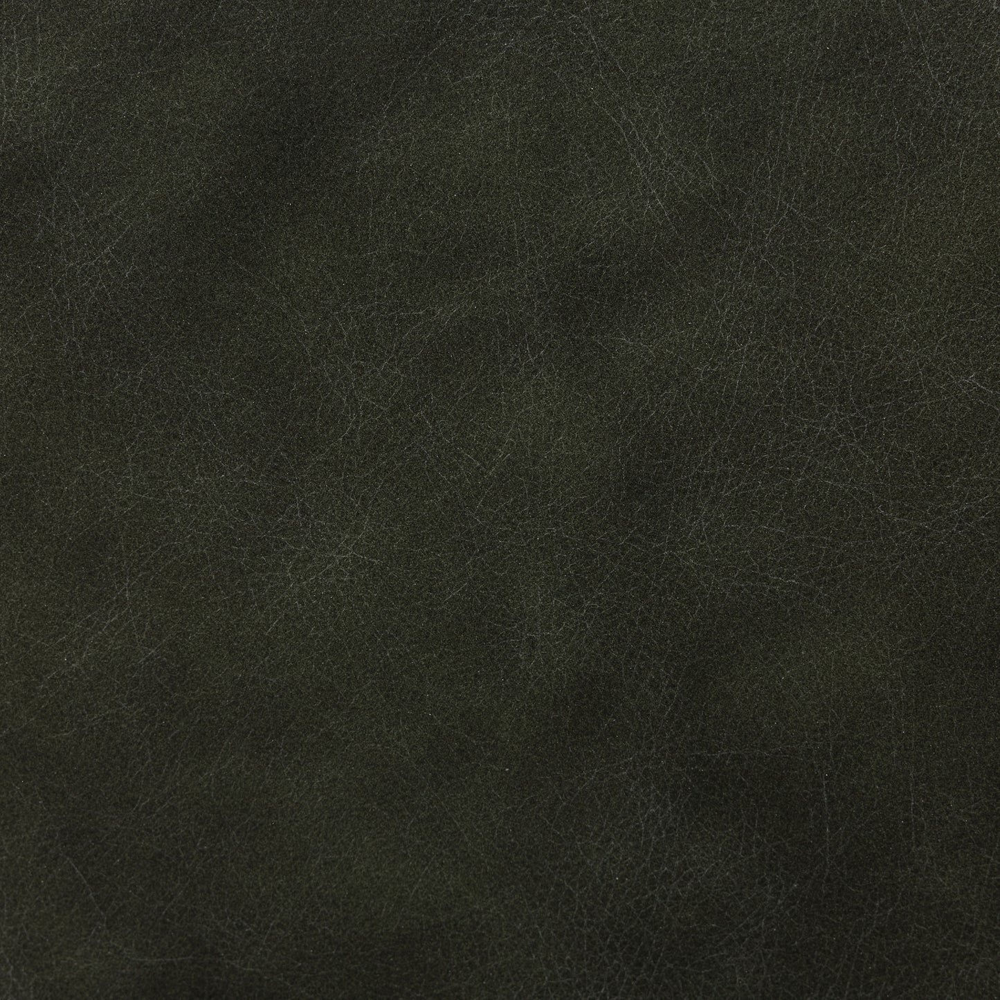Oliva Leather Dining Chair | Green/Walnut