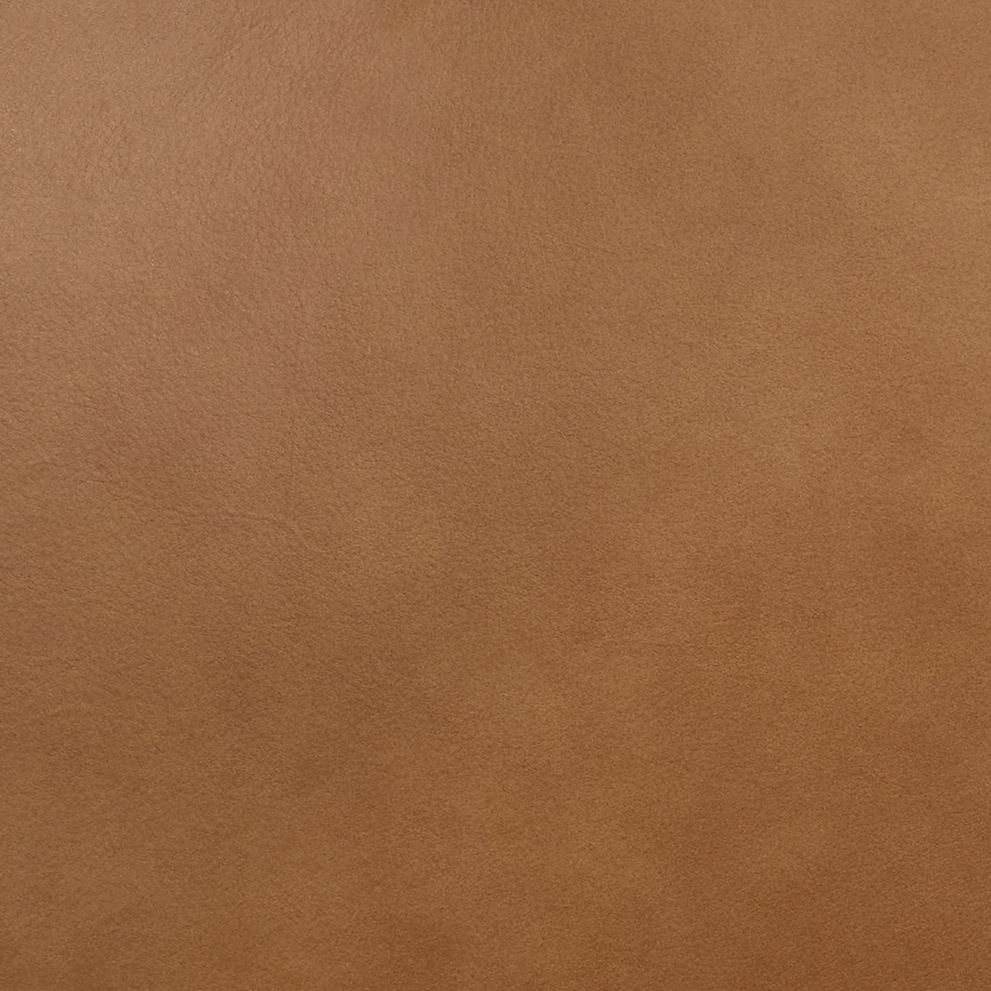 Oliva Leather Dining Chair | Tan/Walnut