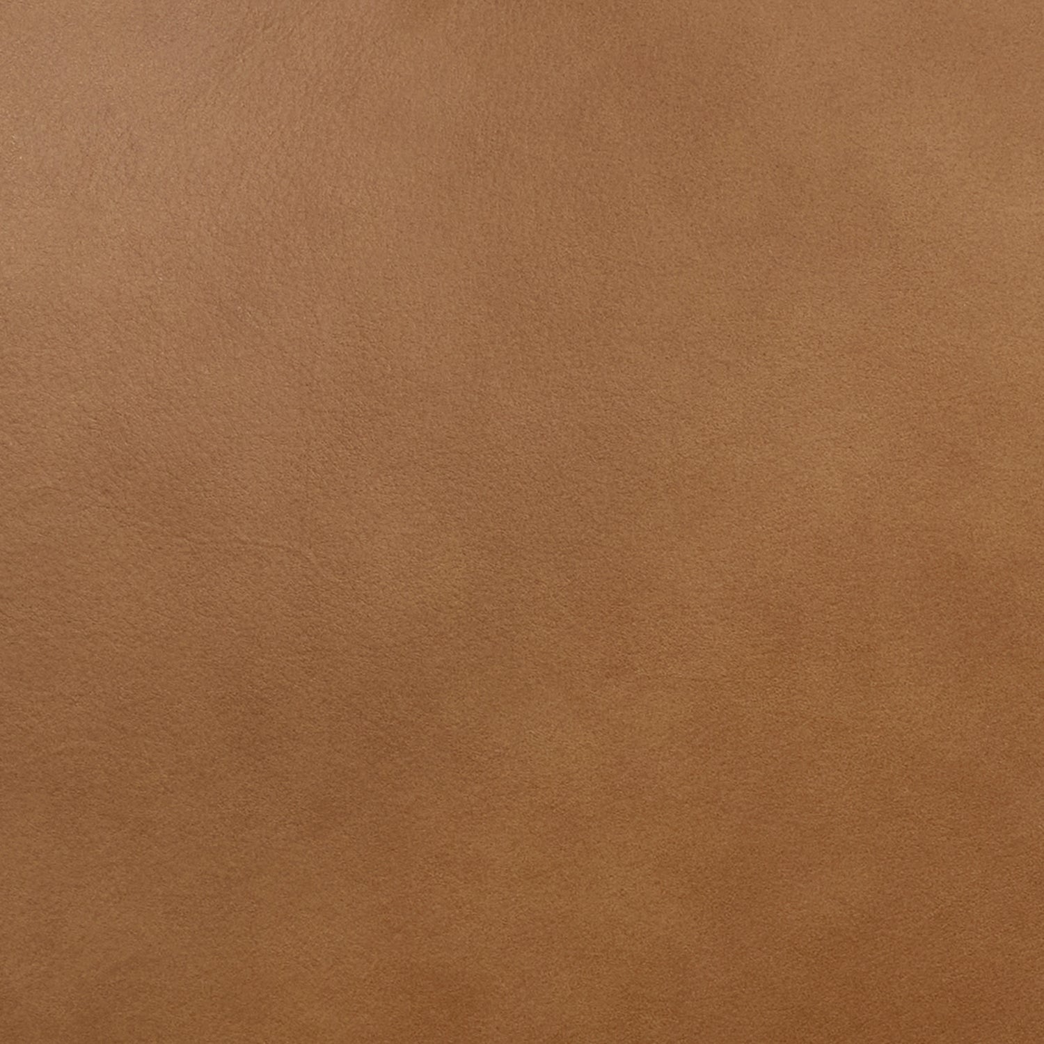 Oliva Leather Dining Chair | Tan/Walnut 