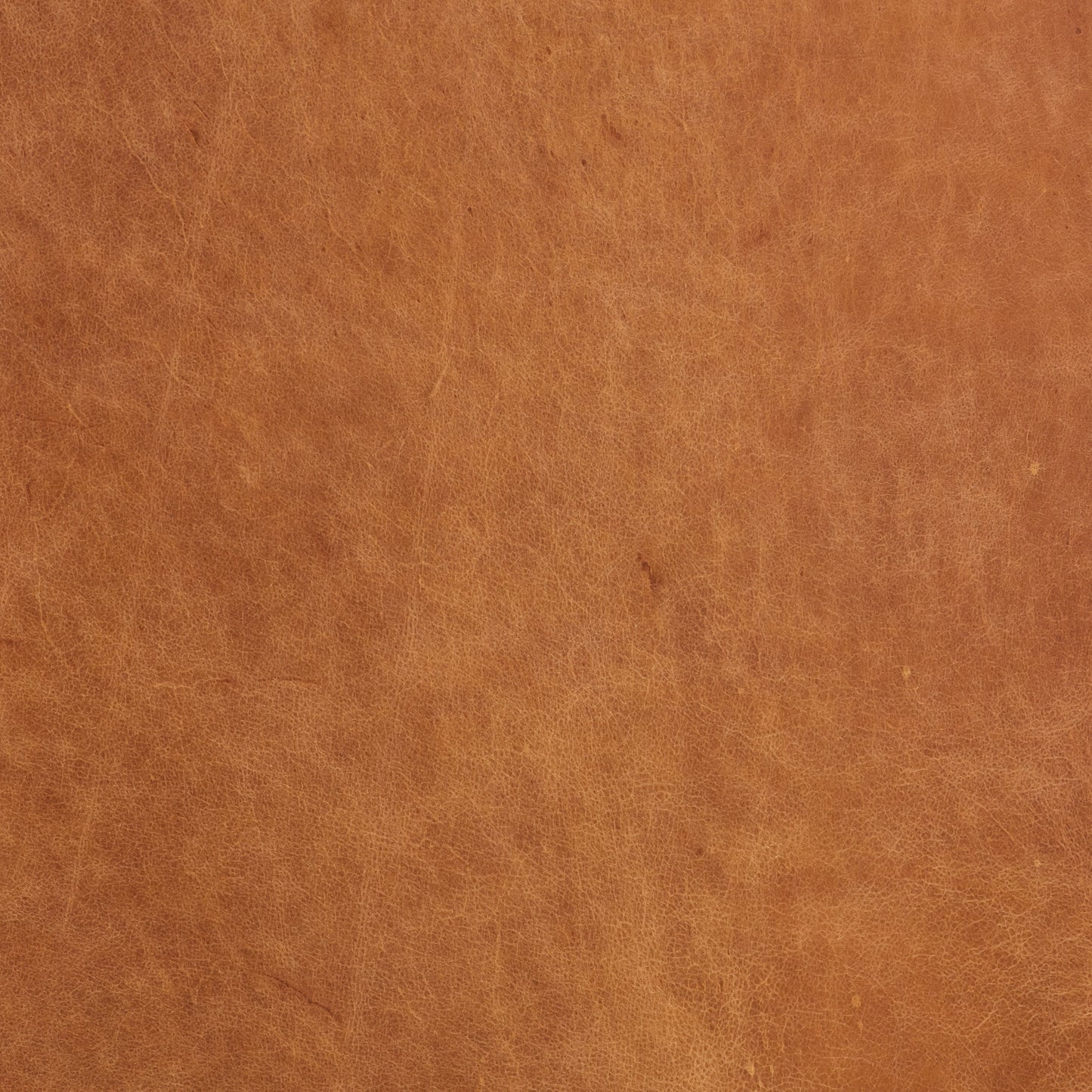 Lyon 87.4" Leather Sofa | Cognac Tan