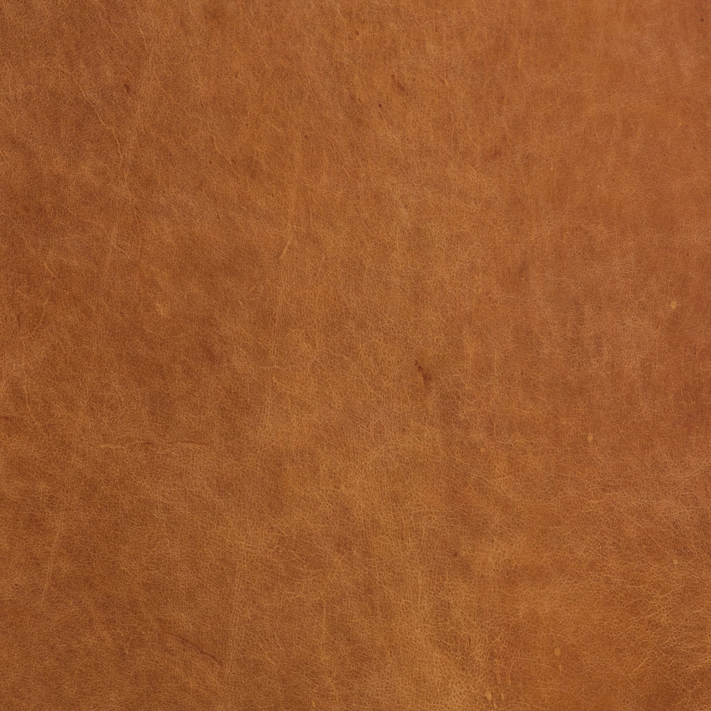 Essex 89" Leather Sofa | Cognac Tan