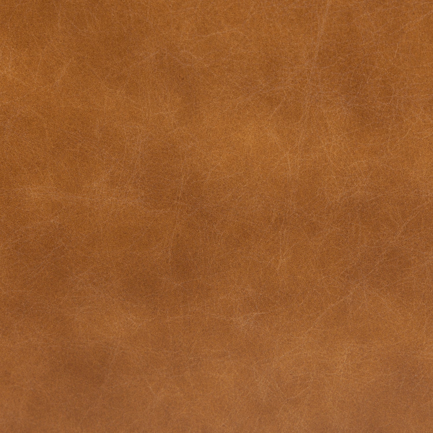 Argan 93
