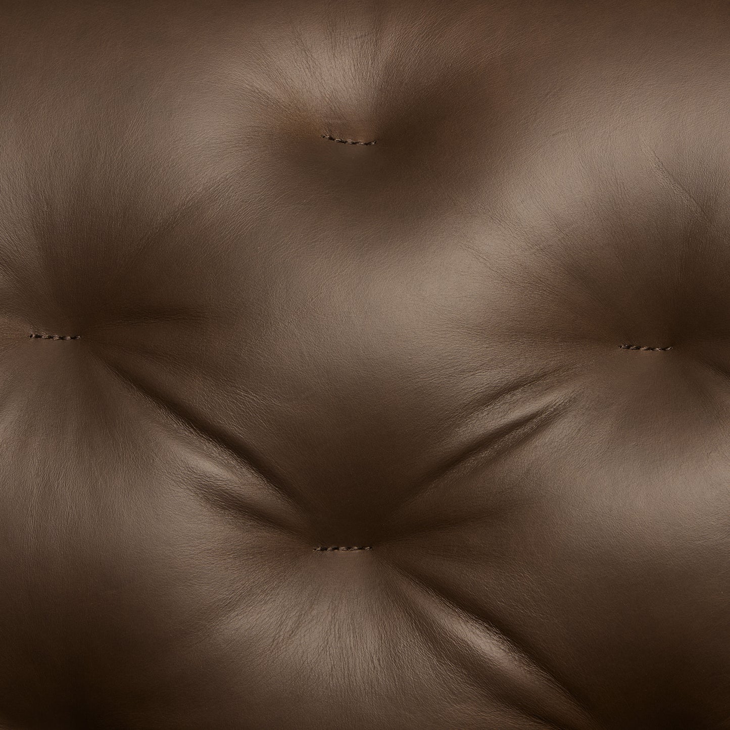 Essex Leather Lounge Chair | Cocoa Brown | Set of 2