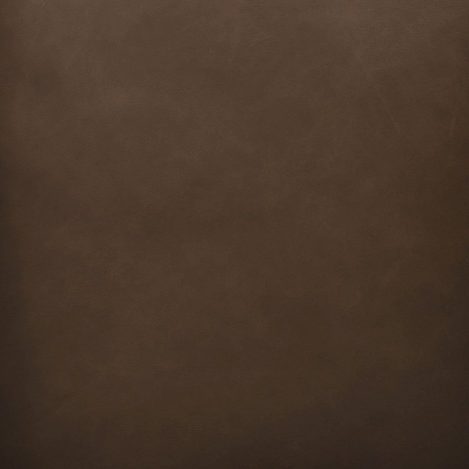 Essex Leather Lounge Chair | Cocoa Brown | Set of 2 