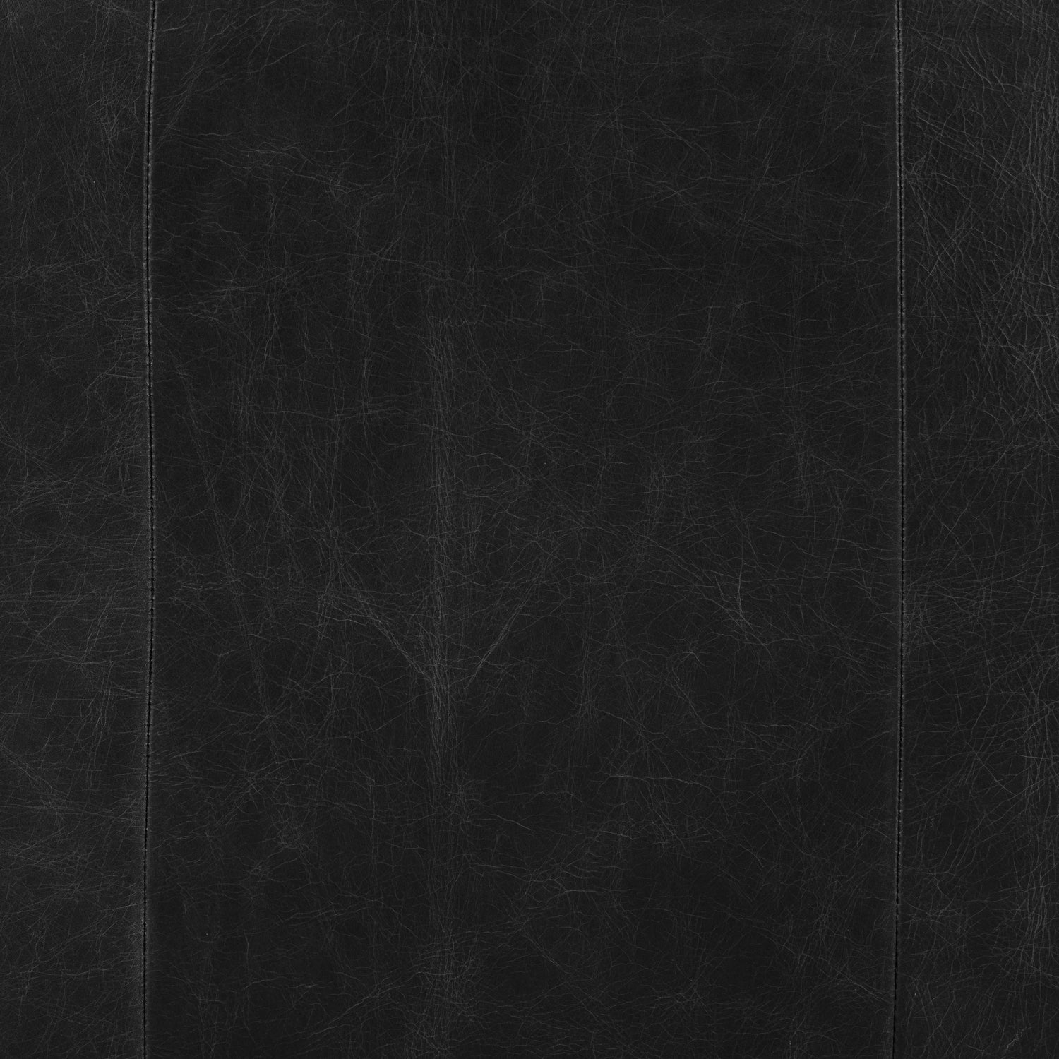 Essex Leather Lounge Chair | Onyx Black | Set of 2 