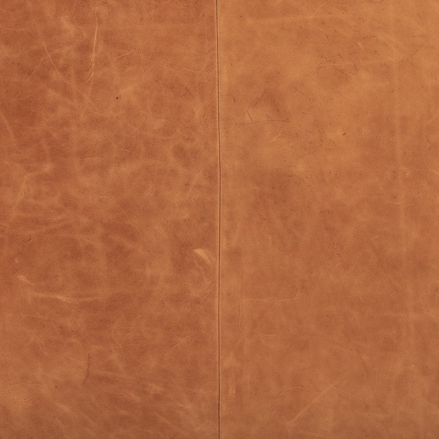 Essex Leather Lounge Chair | Cognac Tan | Set of 2