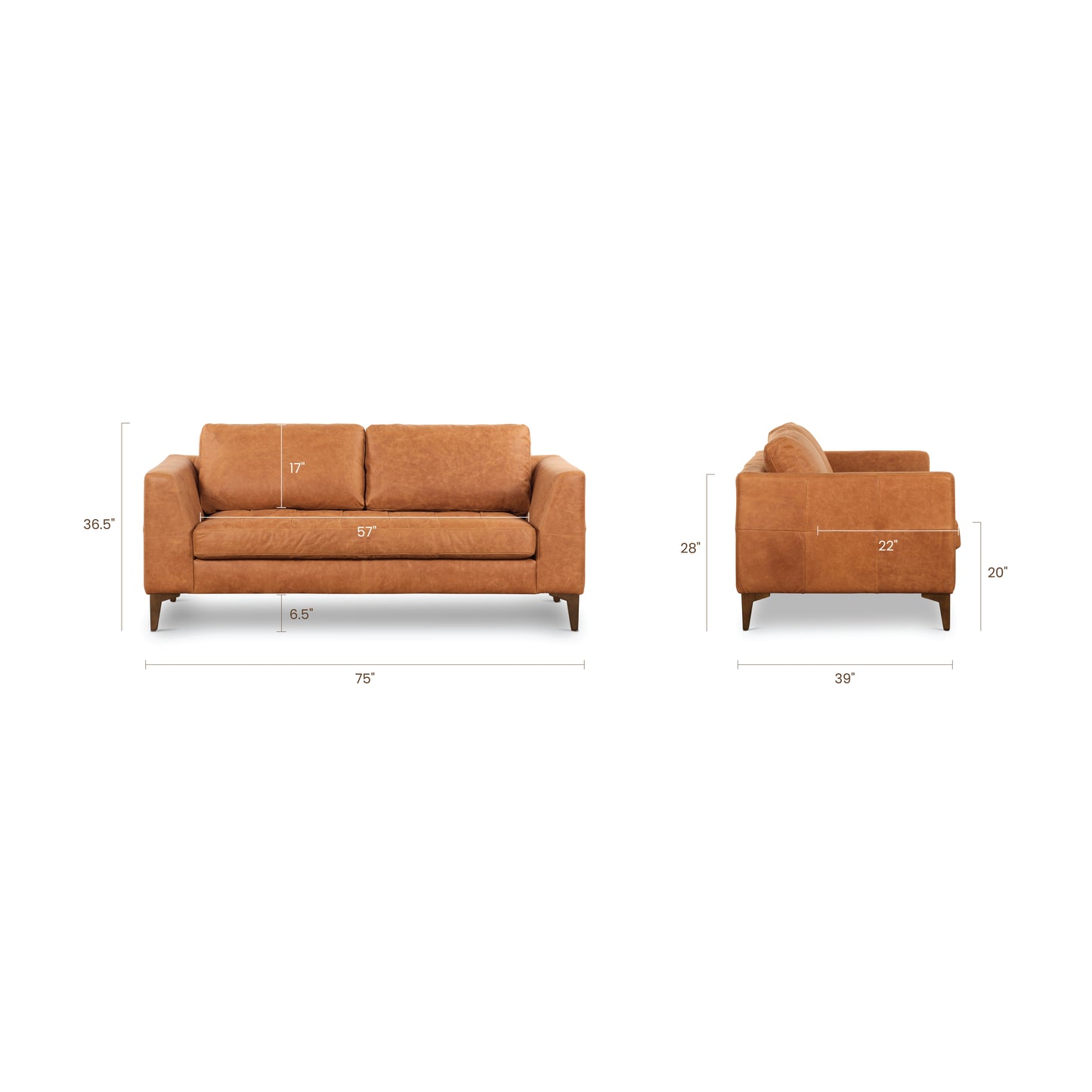 Cognac Tan/Walnut, dimensions