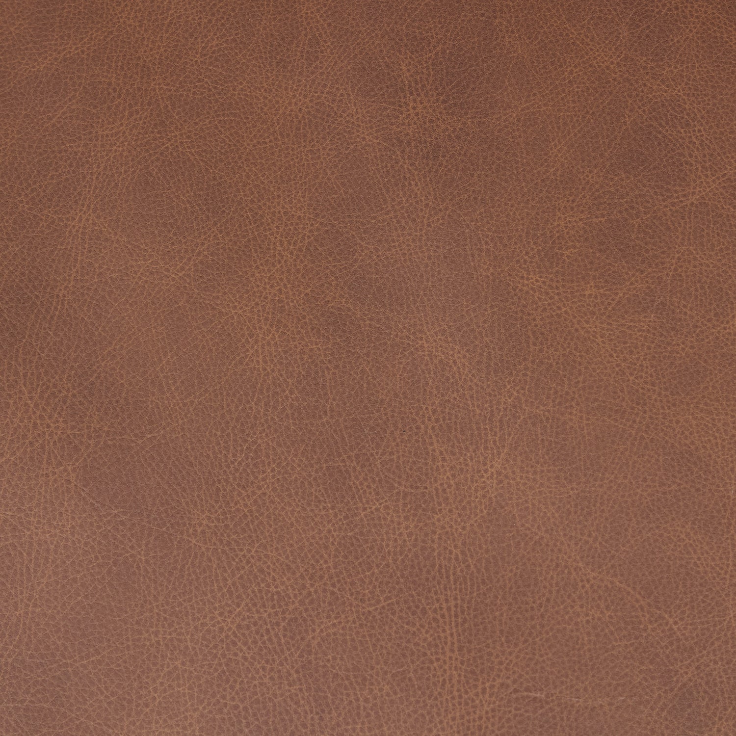 Gus Leather Lounge Chair | Caramel Brown 