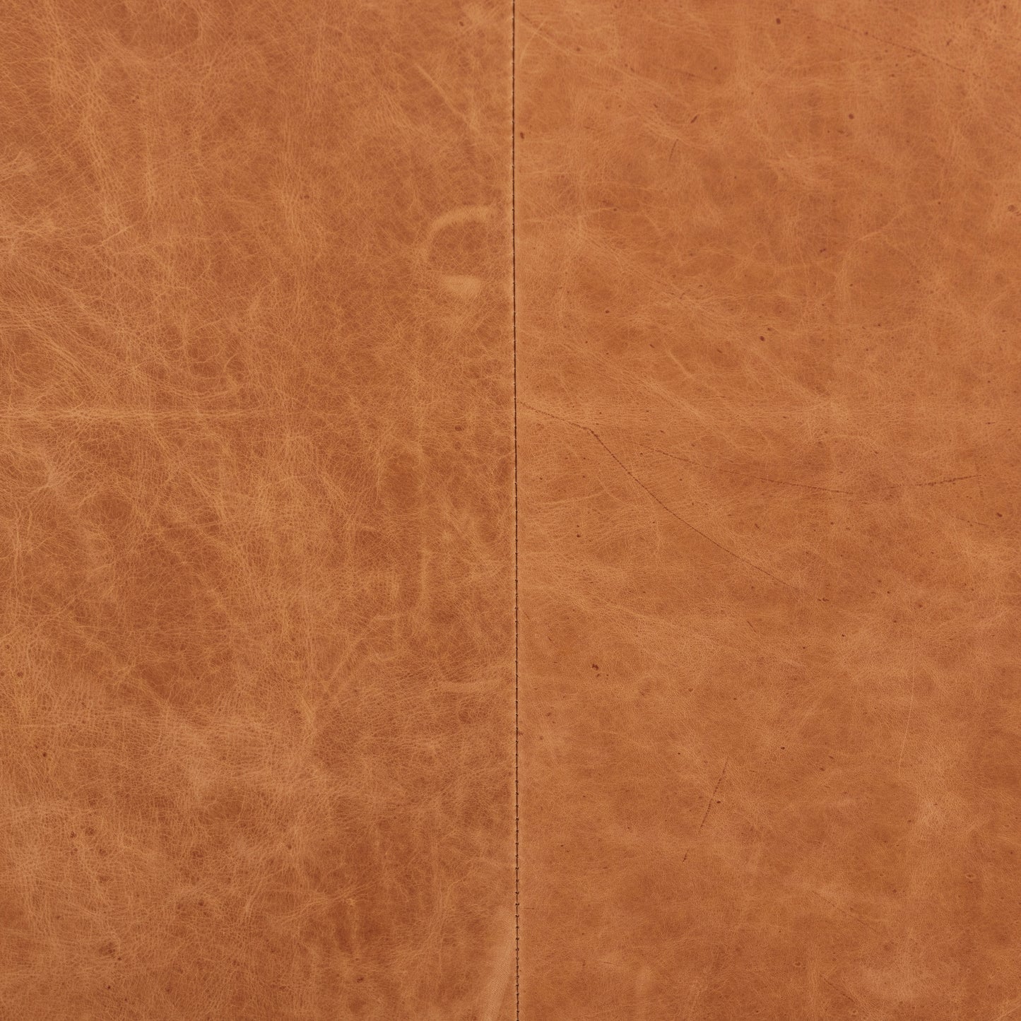 Gus Leather Lounge Chair | Cognac Tan