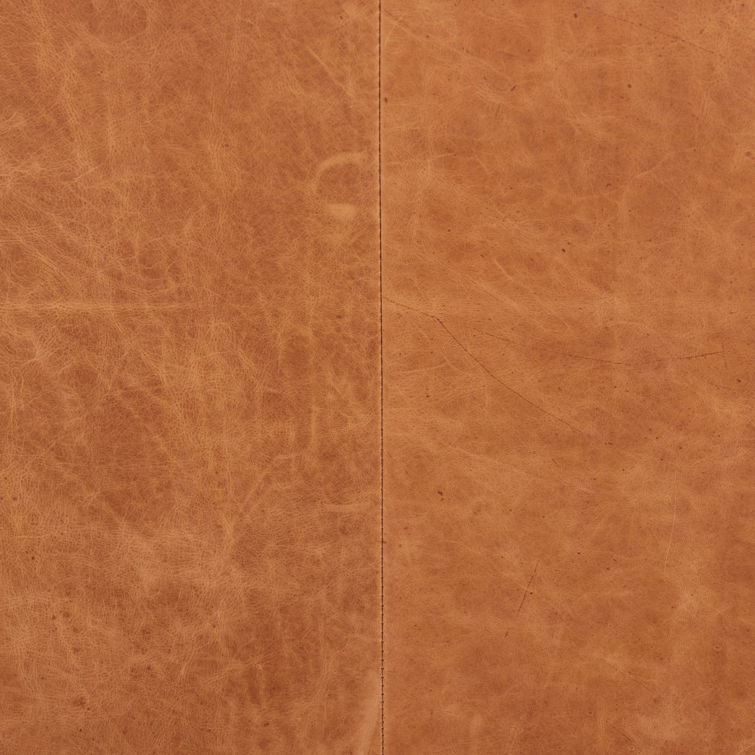 Gus Leather Lounge Chair | Cognac Tan 