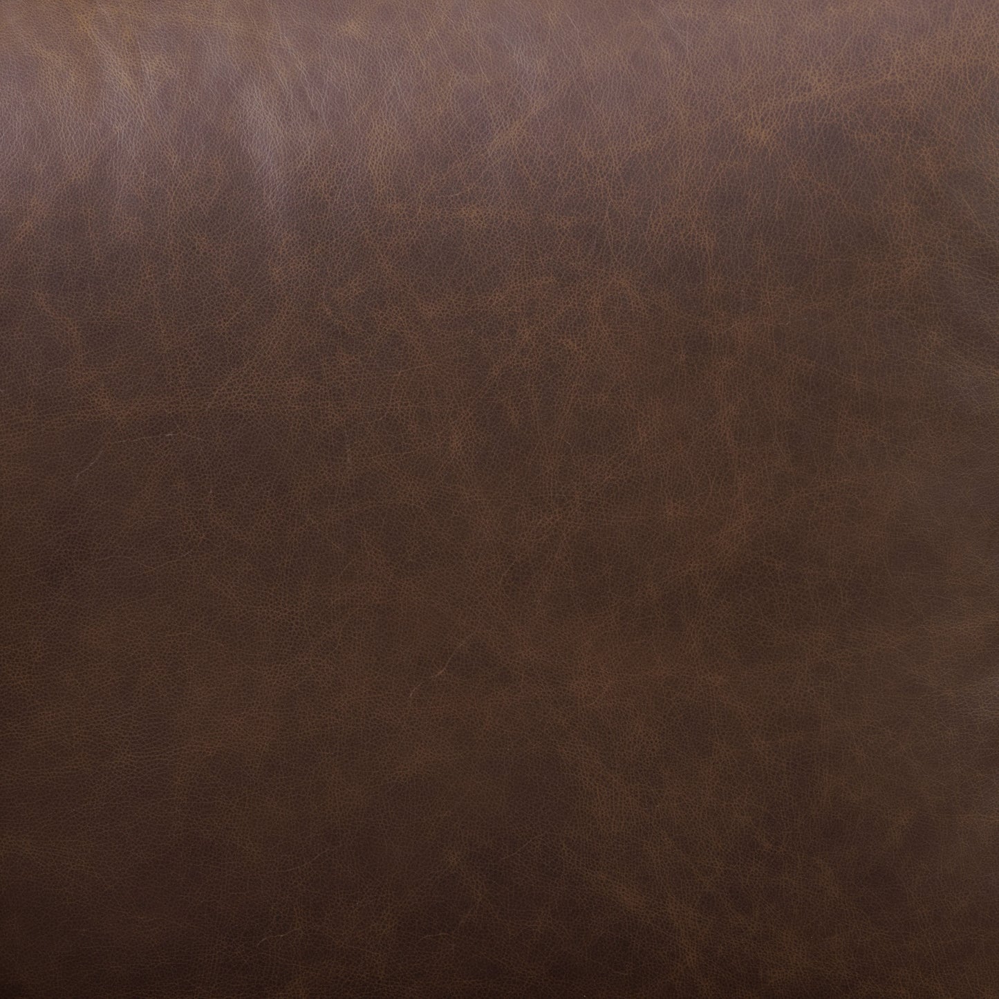 Essex 74" Leather Apartment Sofa | Bridle Brown