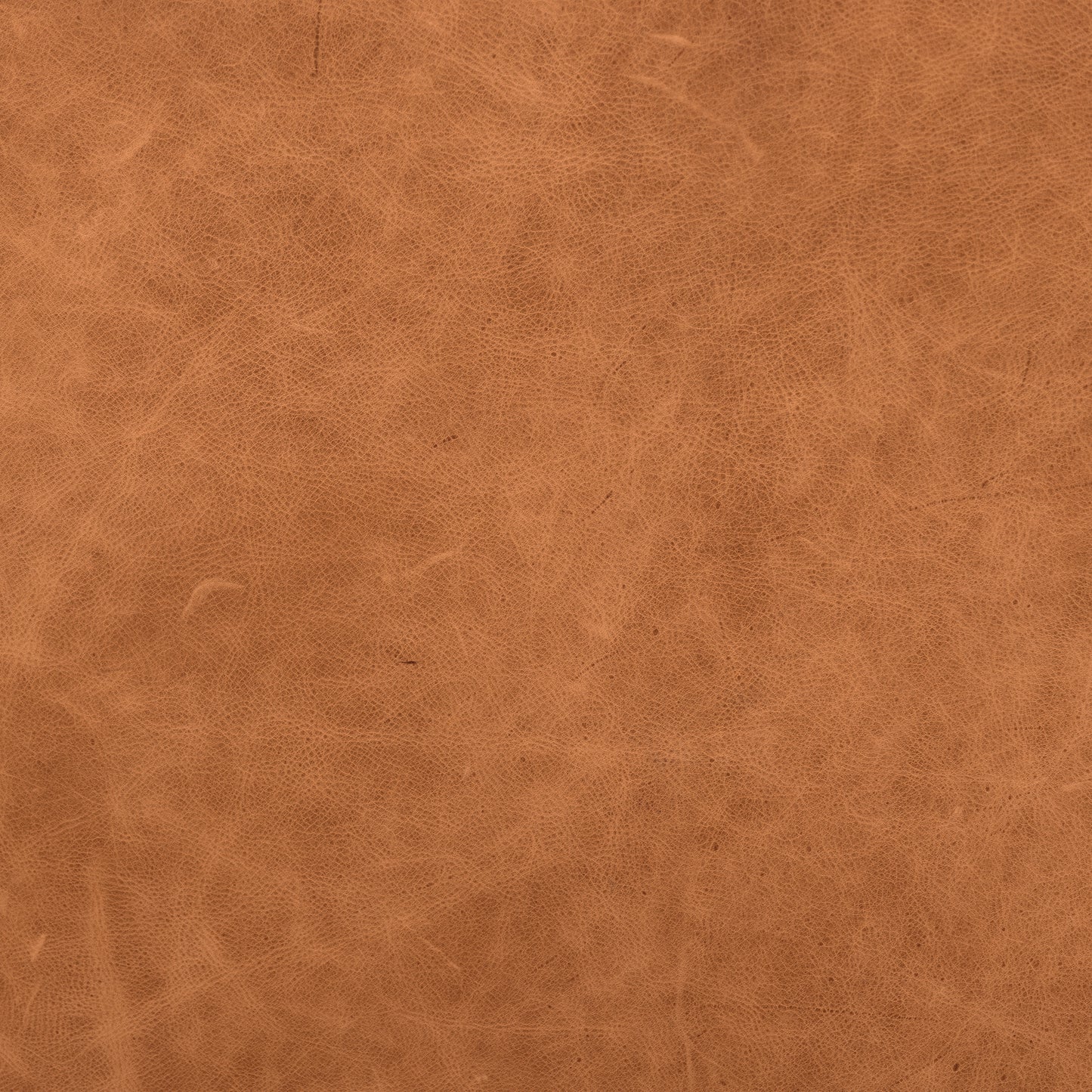 Bo Leather Lounge Chair | Cognac Tan