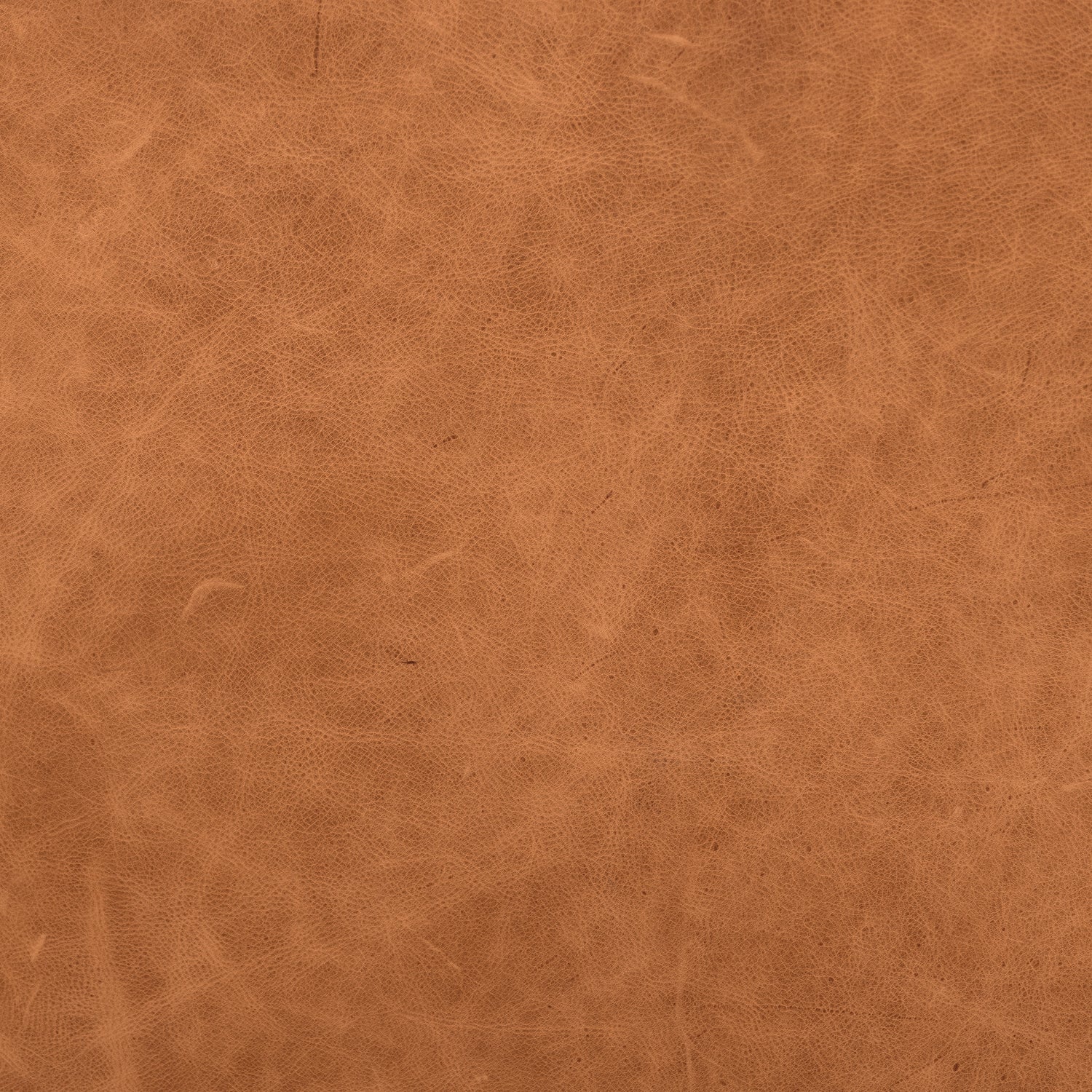 Bo Leather Lounge Chair | Cognac Tan 