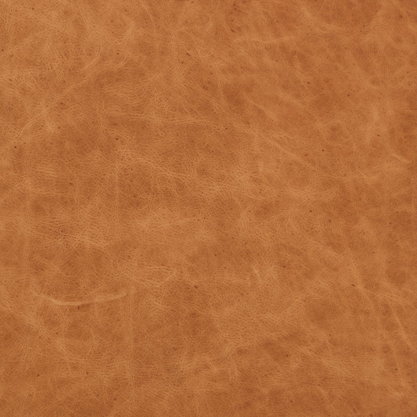 Sorrento Leather Lounge Chair | Cognac Tan