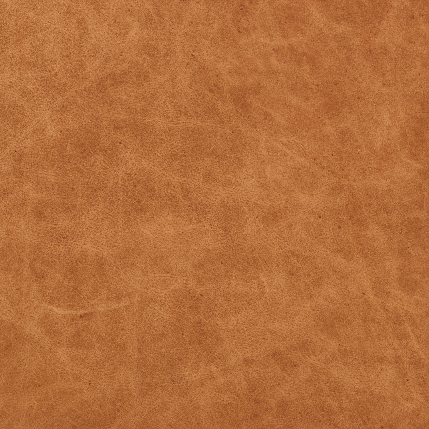 Sorrento Leather Lounge Chair | Cognac Tan 