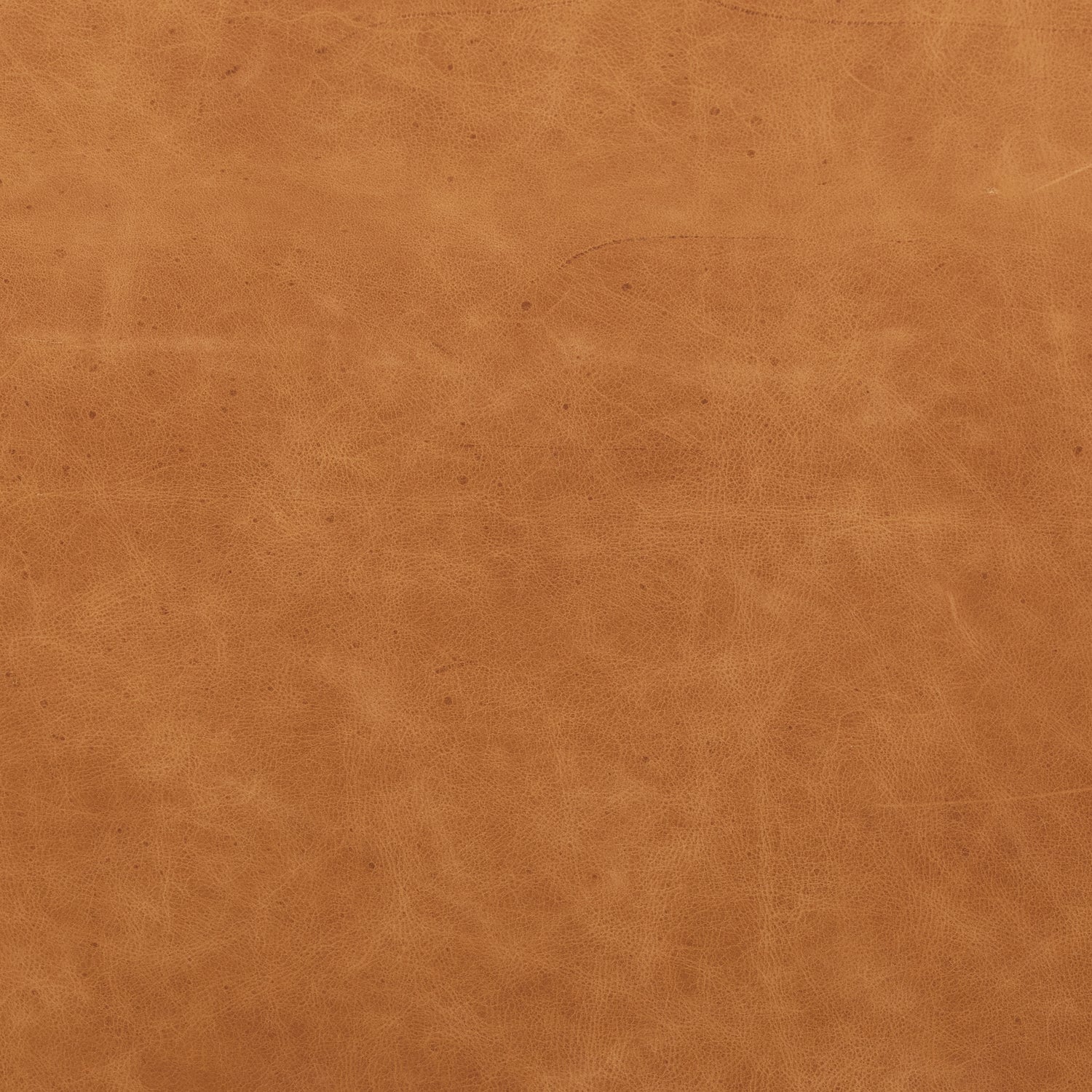 Giza Leather Lounge Chair | Cognac Tan | Single 