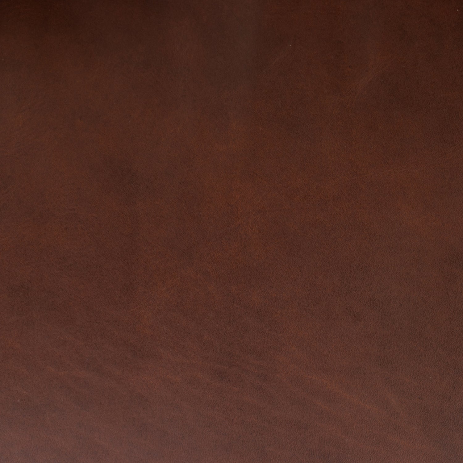 Giza Leather Lounge Chair | Oscuro Brown | Set of 2 