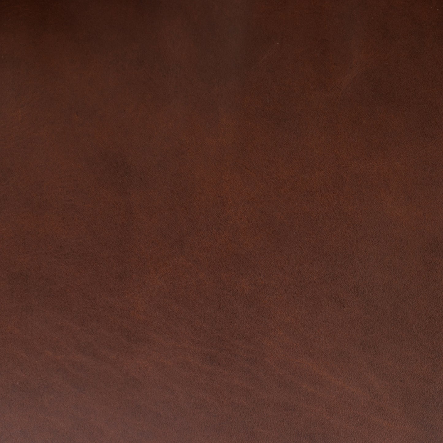 Giza Leather Lounge Chair | Oscuro Brown | Single