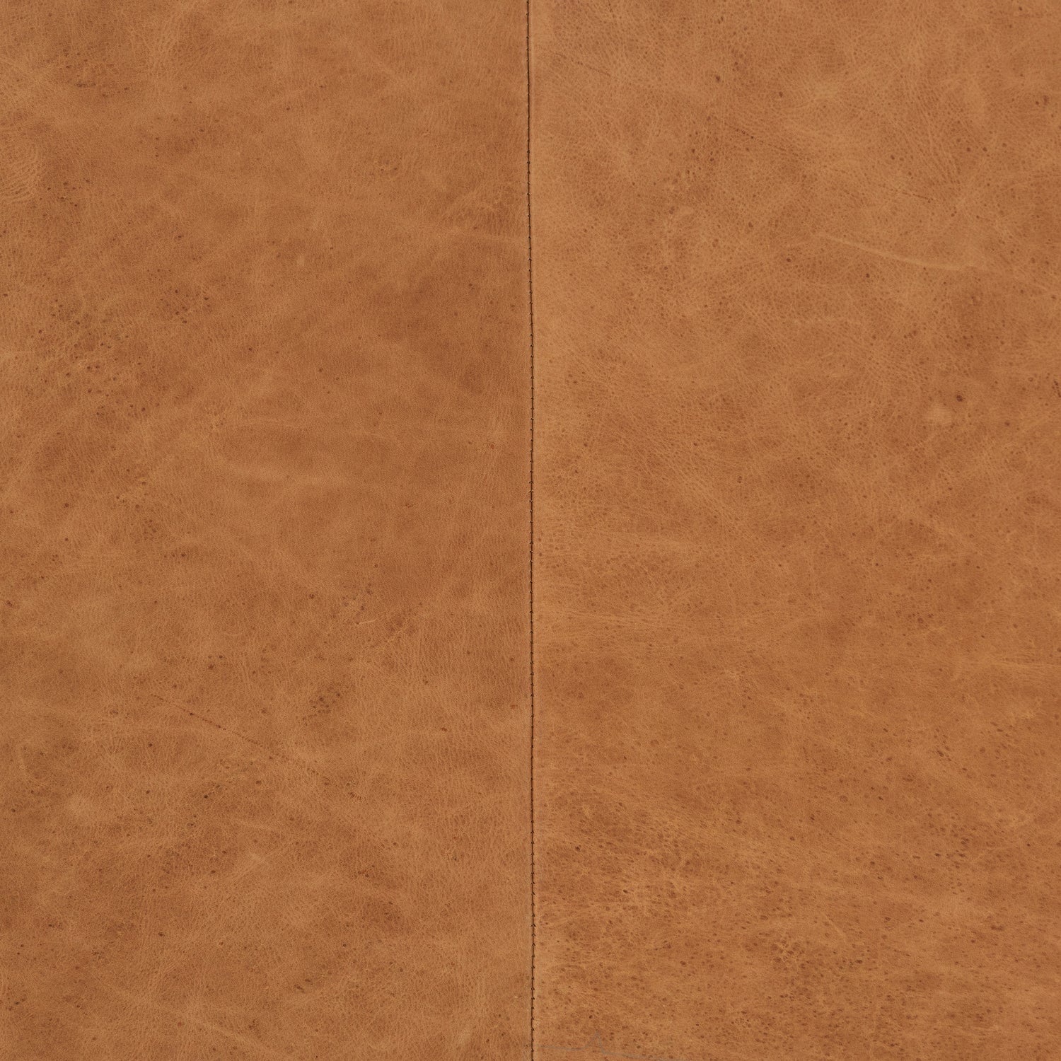 Napa Leather Lounge Chair | Cognac Tan | Set of 2 