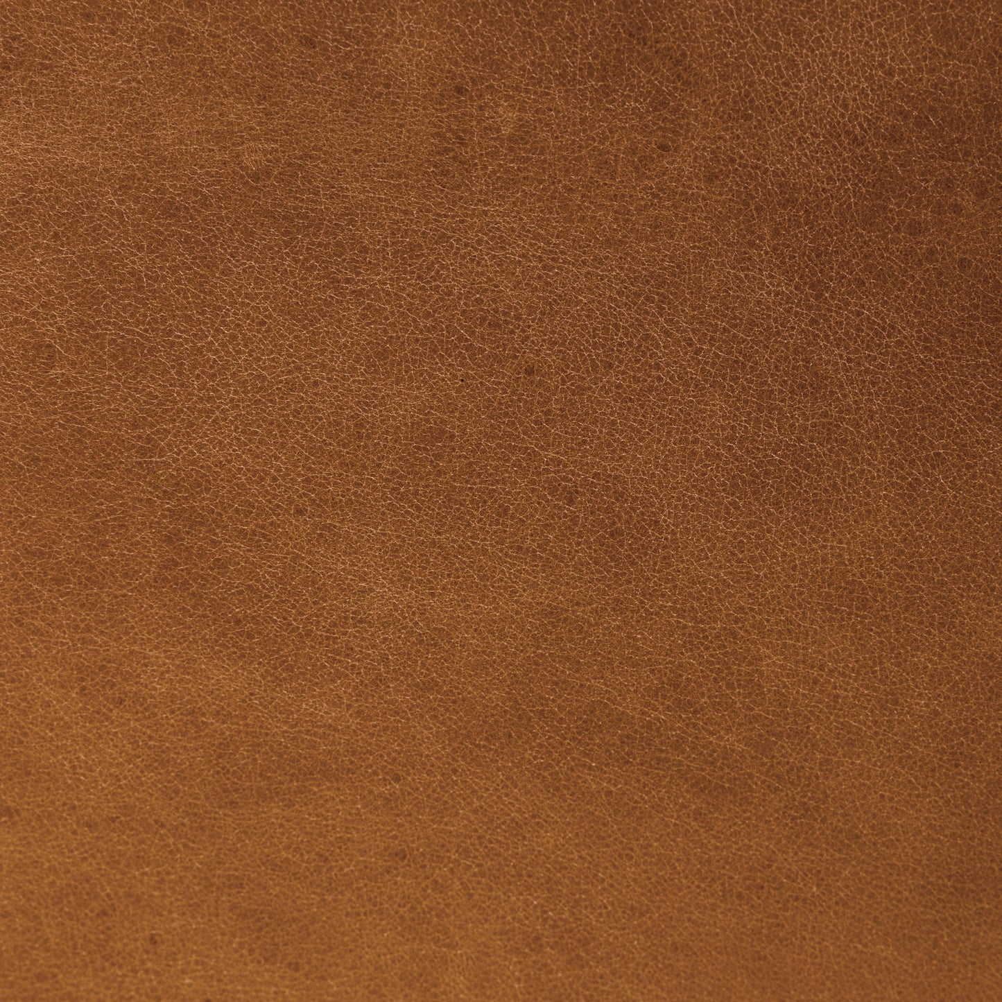 Ashford 88" Leather Sofa | Saddle Tan