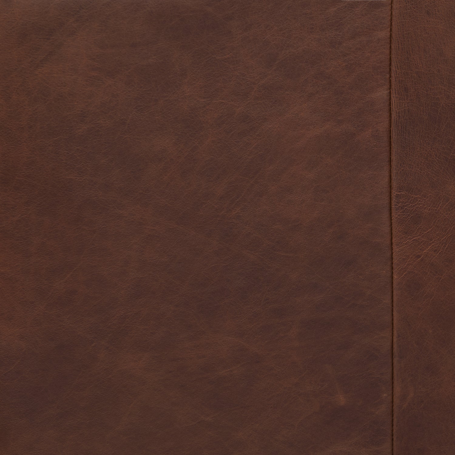 Carmel Leather Lounge Chair | Chocolate Brown 