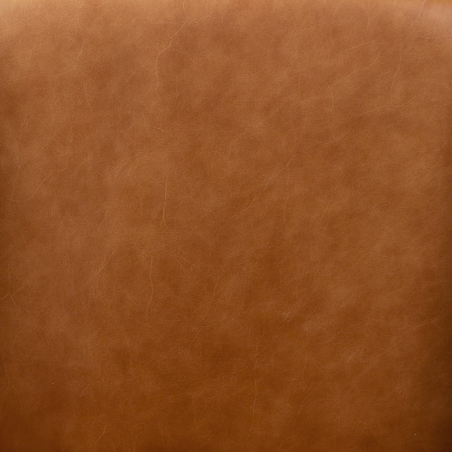 Skive Leather Lounge Chair | Cognac Tan 