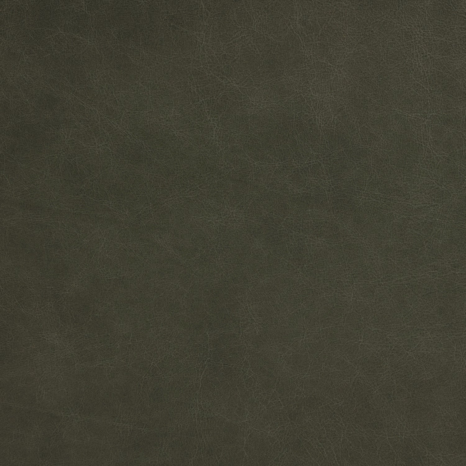 Bosco Leather Lounge Chair | Olivine Green 