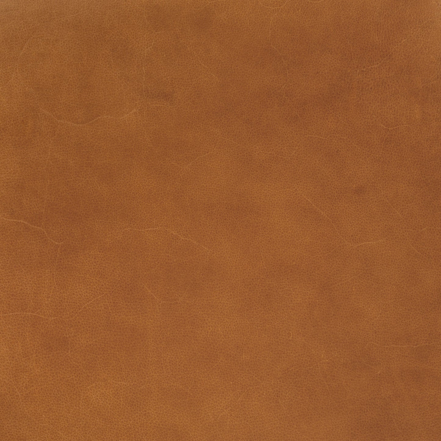 Bosco Leather Lounge Chair | Saddle Tan