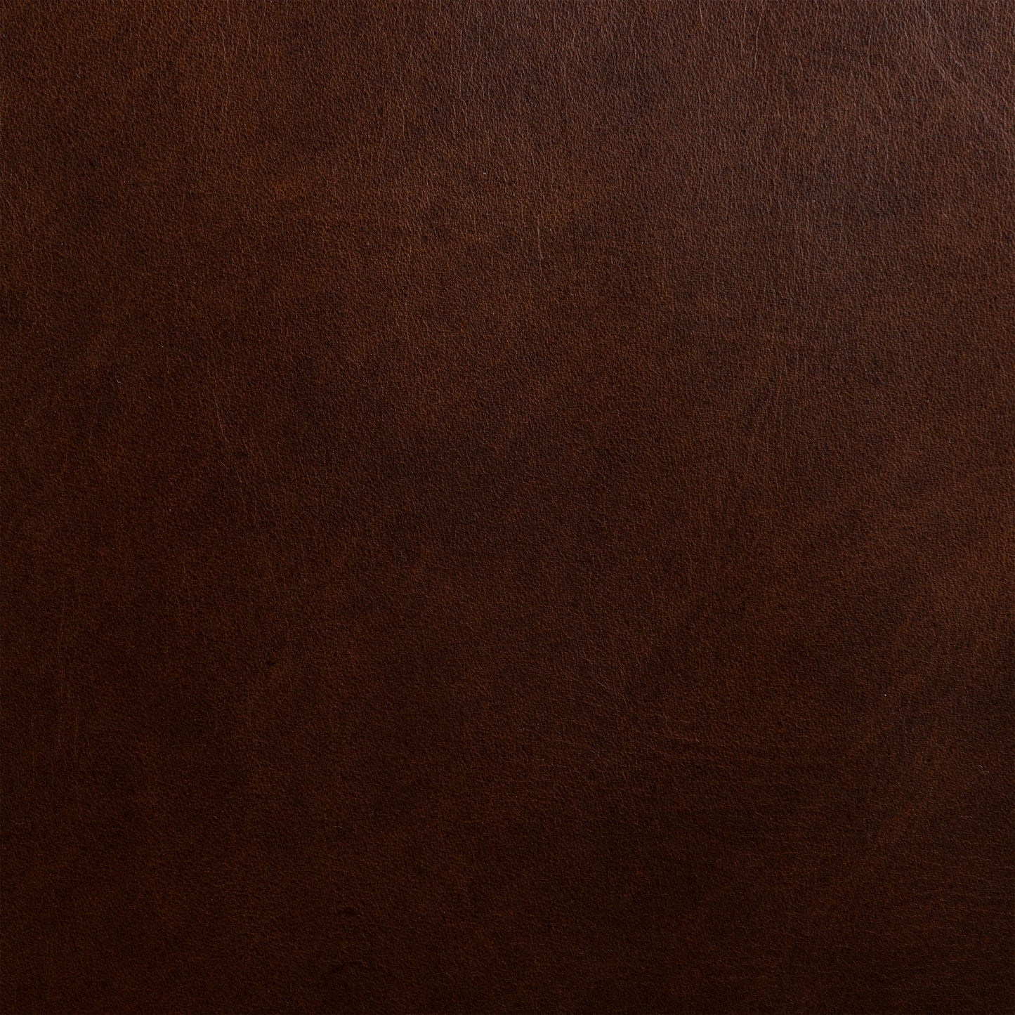 Herstal Leather Lounge Chair | Oscuro Brown